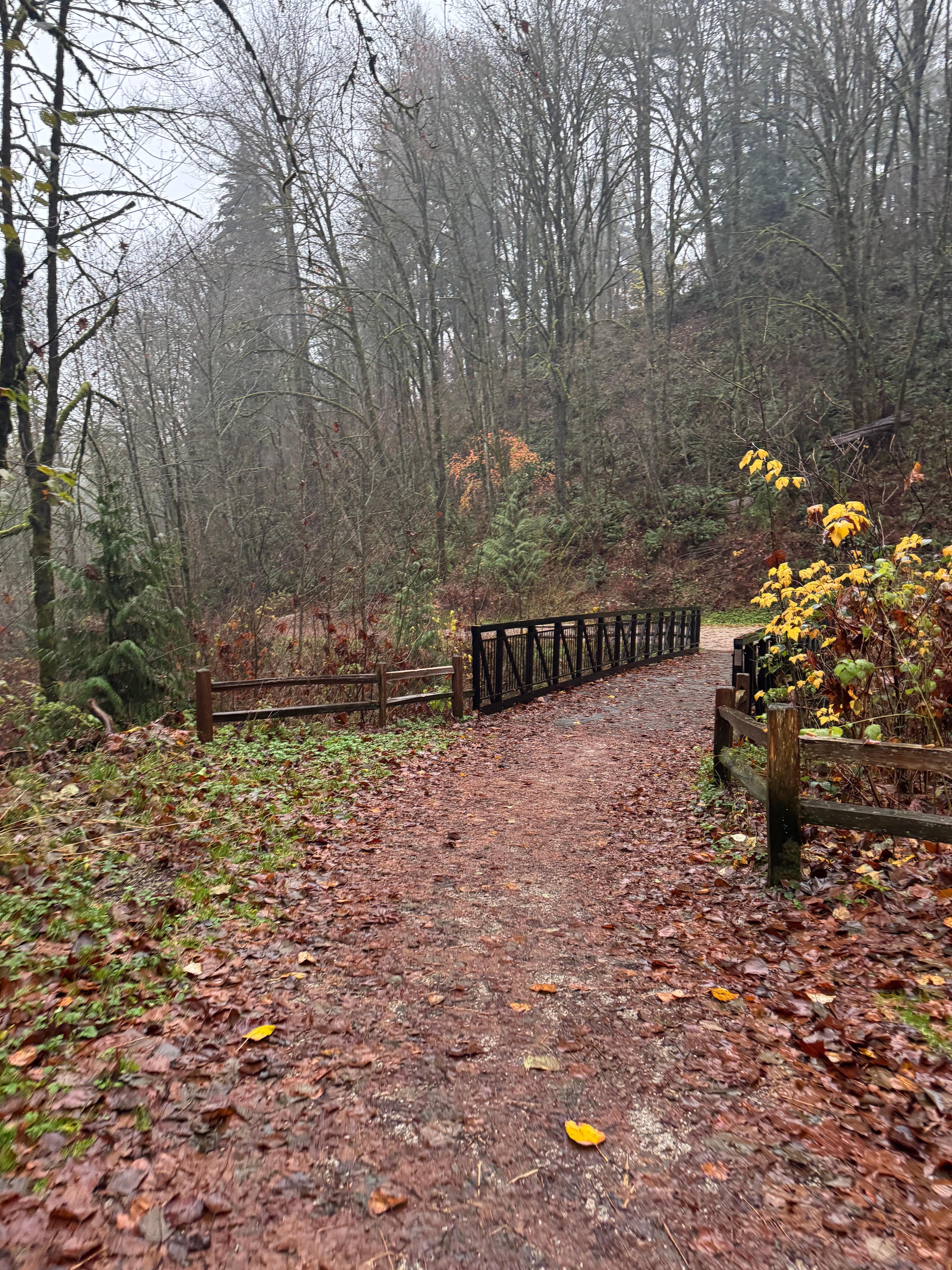 Location near trails to walk