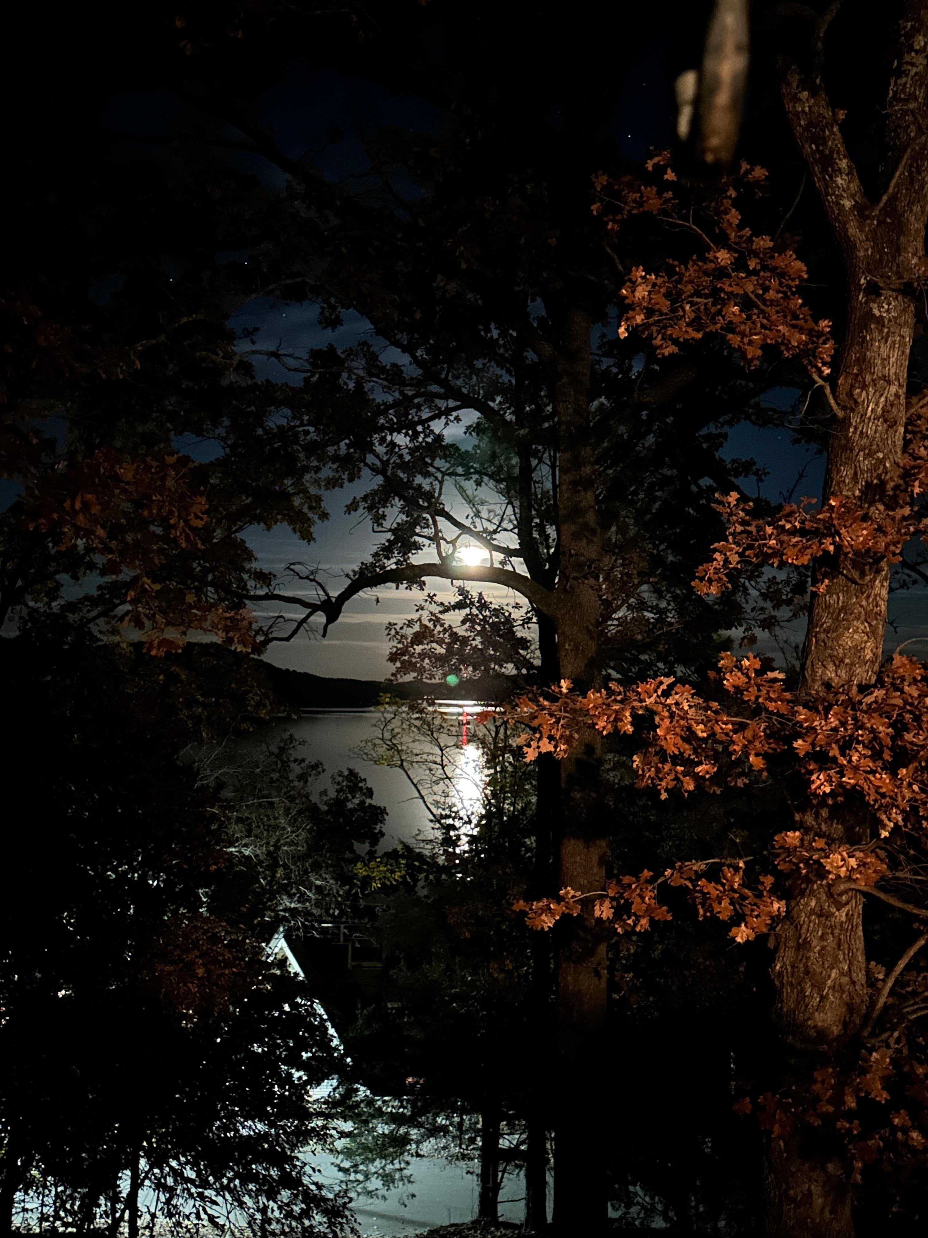 Beautiful view of the full moon. 