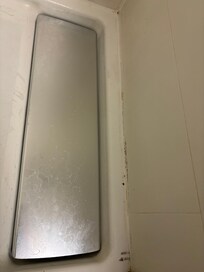 Mold in shower