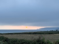 View from the garden