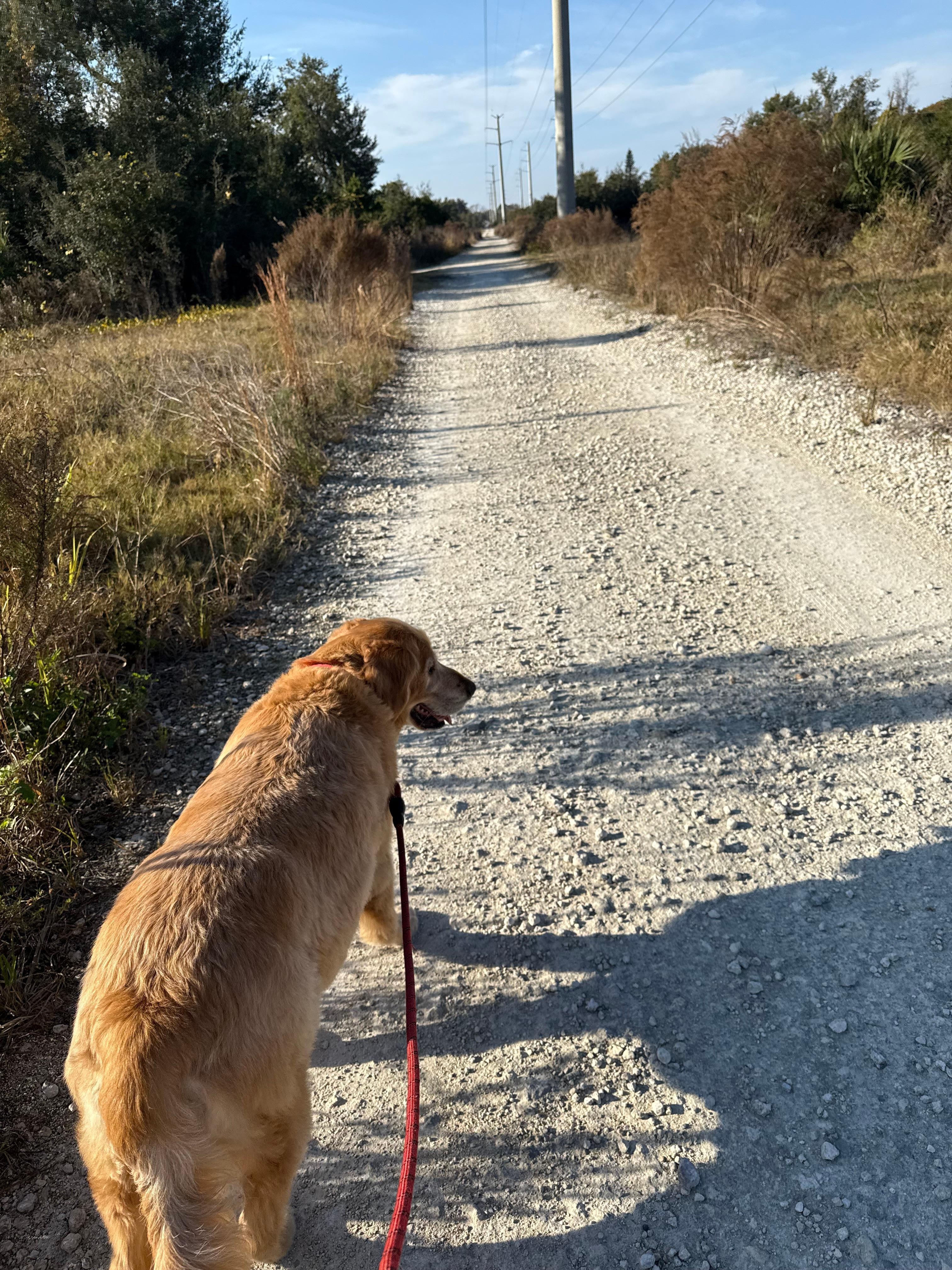 The house is next to a very nice walking trail! 