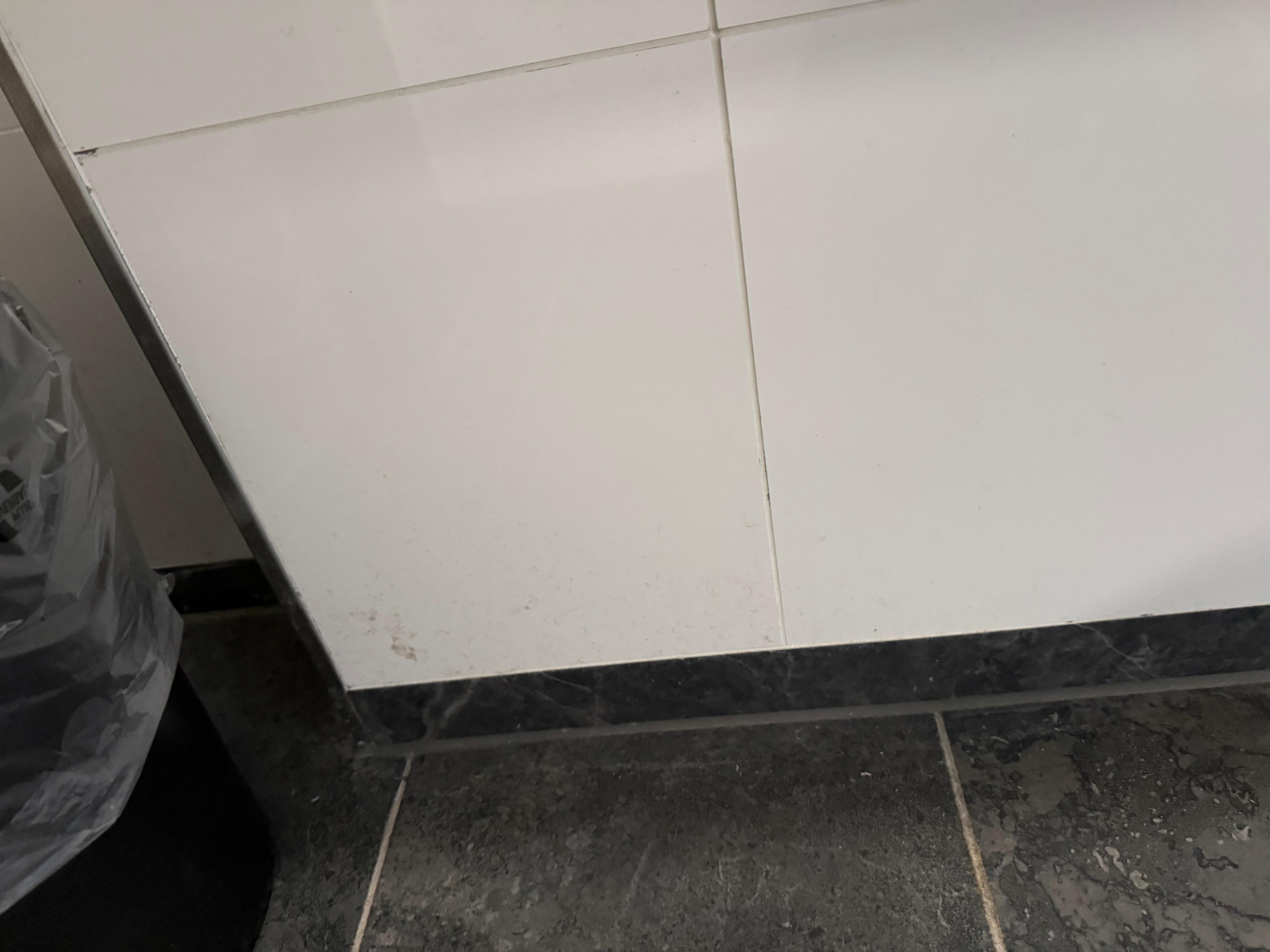 Bagno maccchie di sangue ho fece