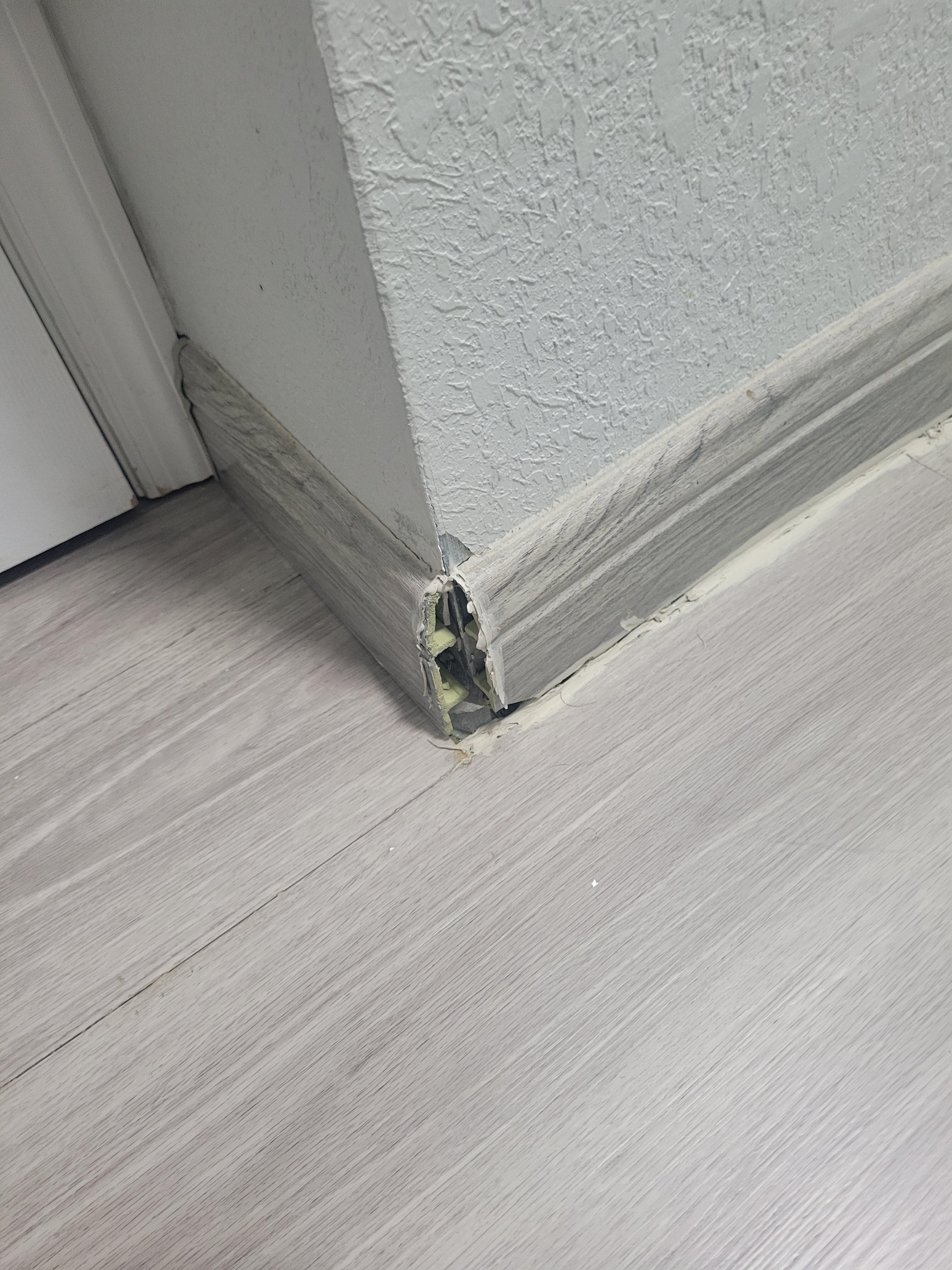 Bathroom. Molding