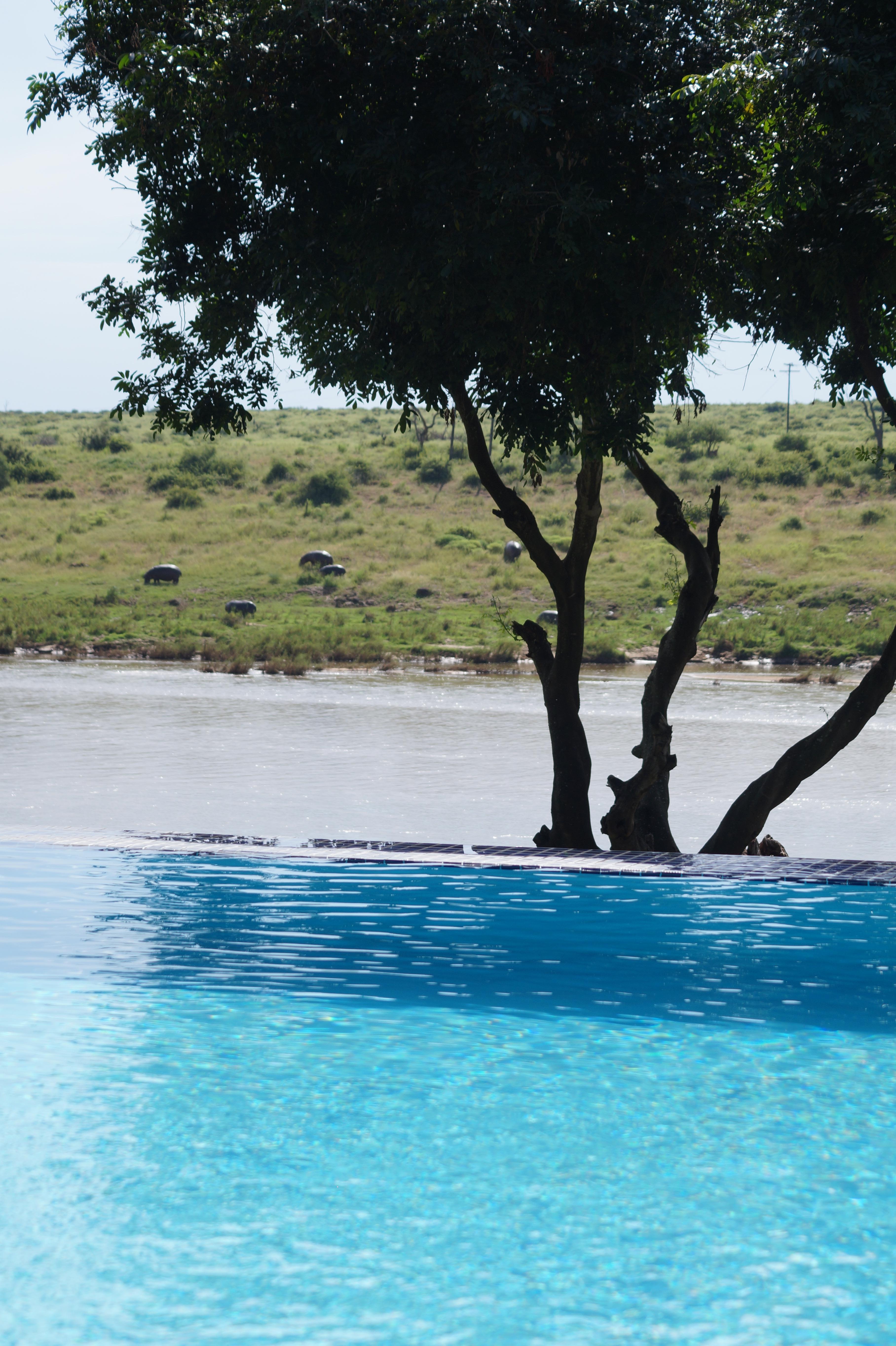 Poolbillard zum River