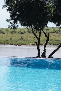 Poolbillard zum River