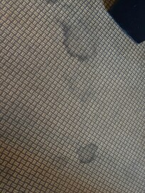Stains all over carpet