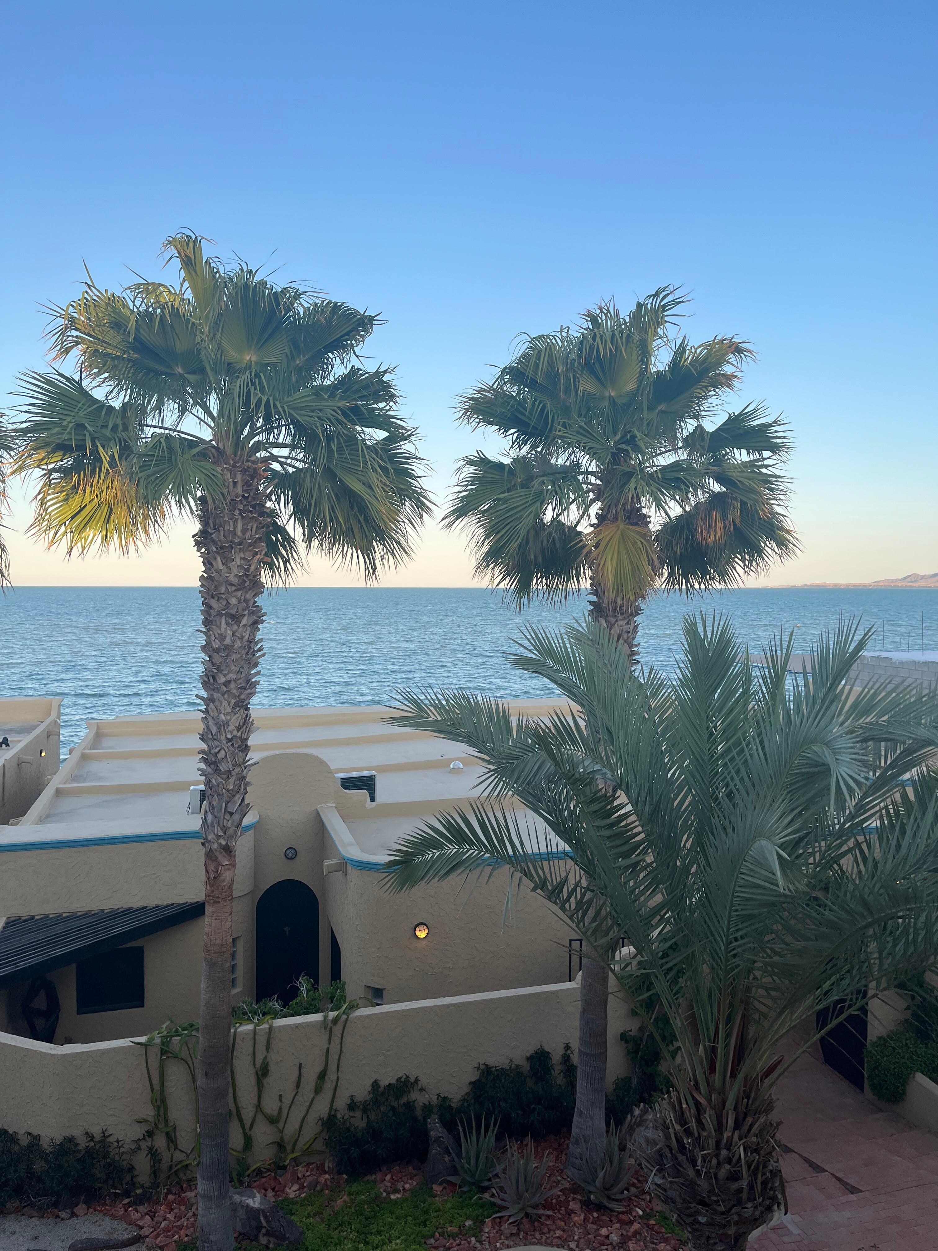 View from main floor deck 