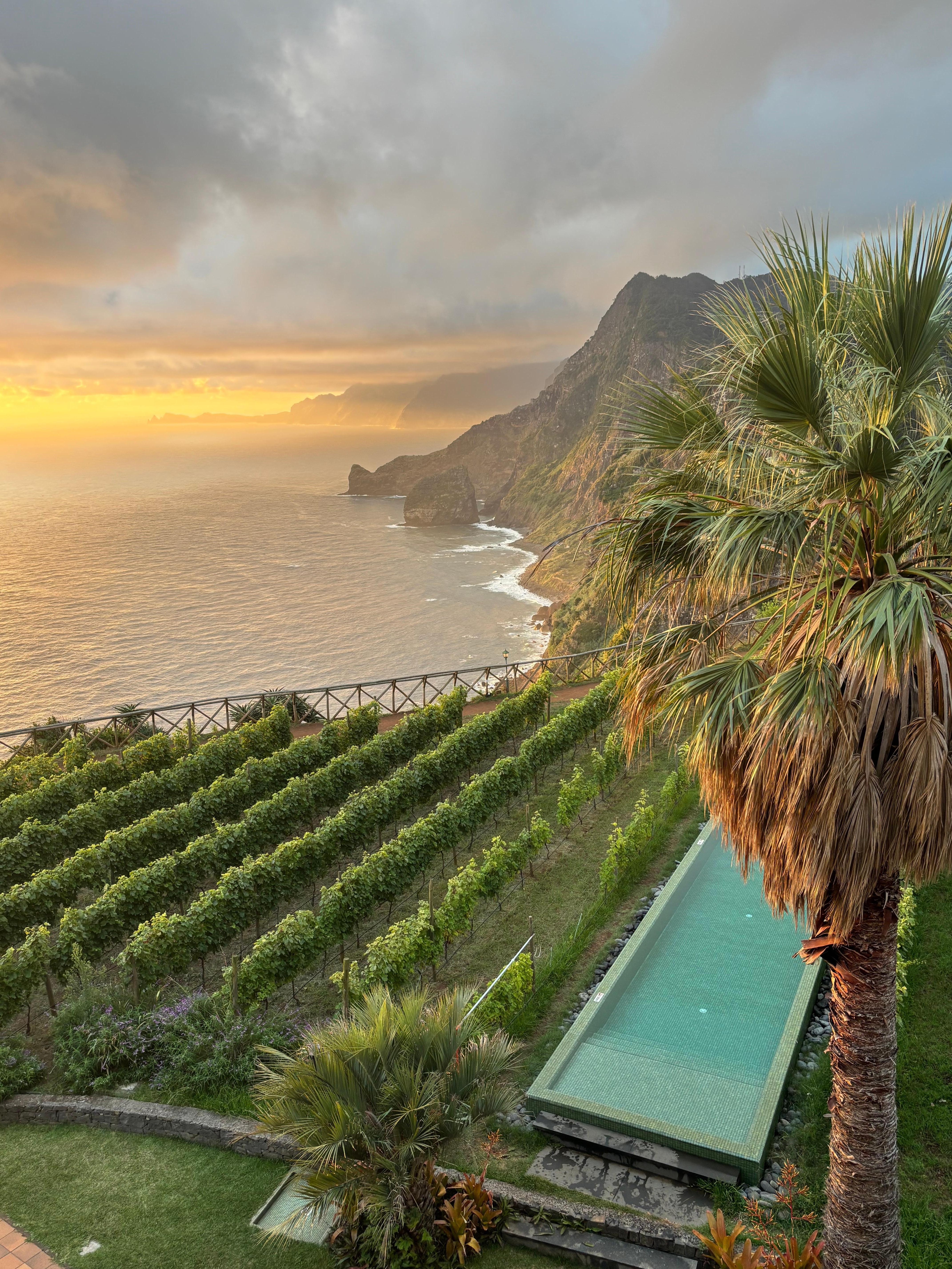 Room overlooking vineyard 