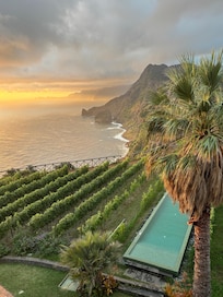 Room overlooking vineyard