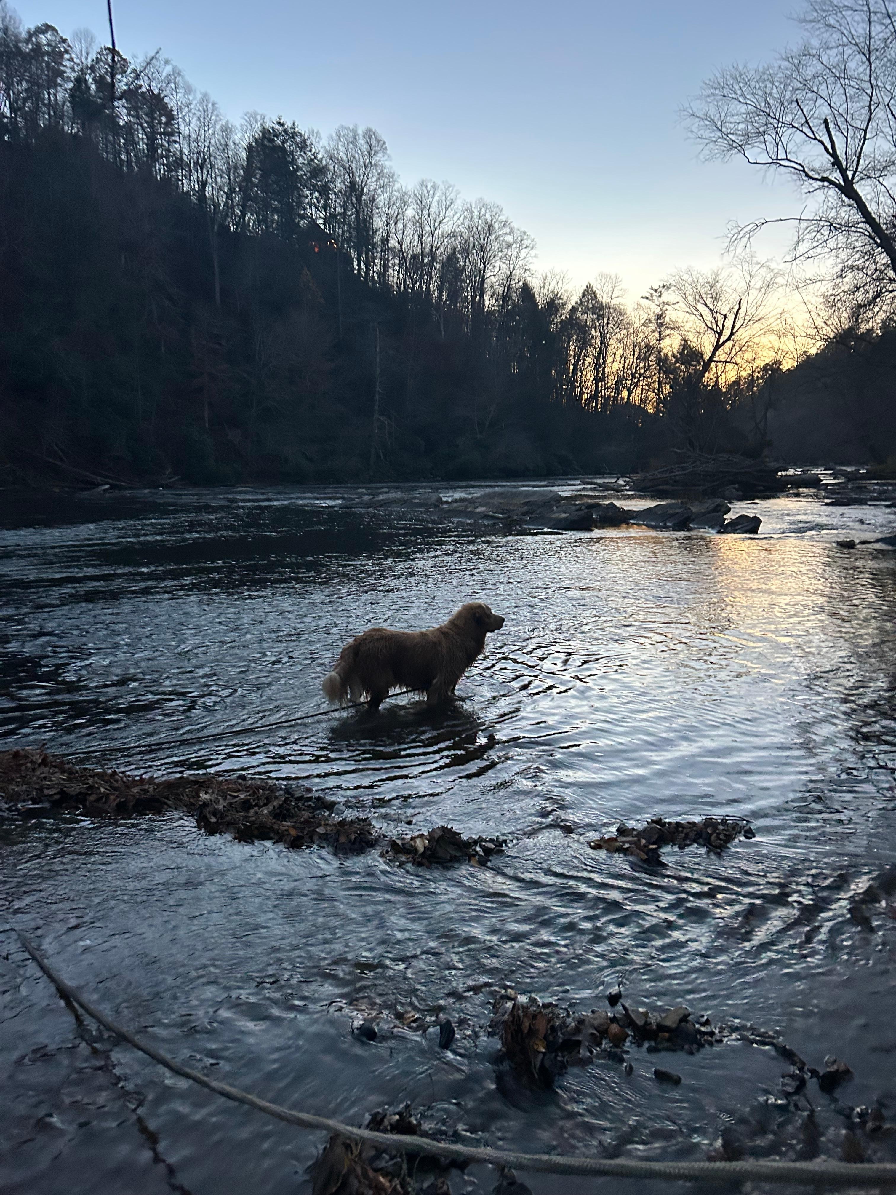 Hank loved the river