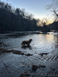Hank loved the river