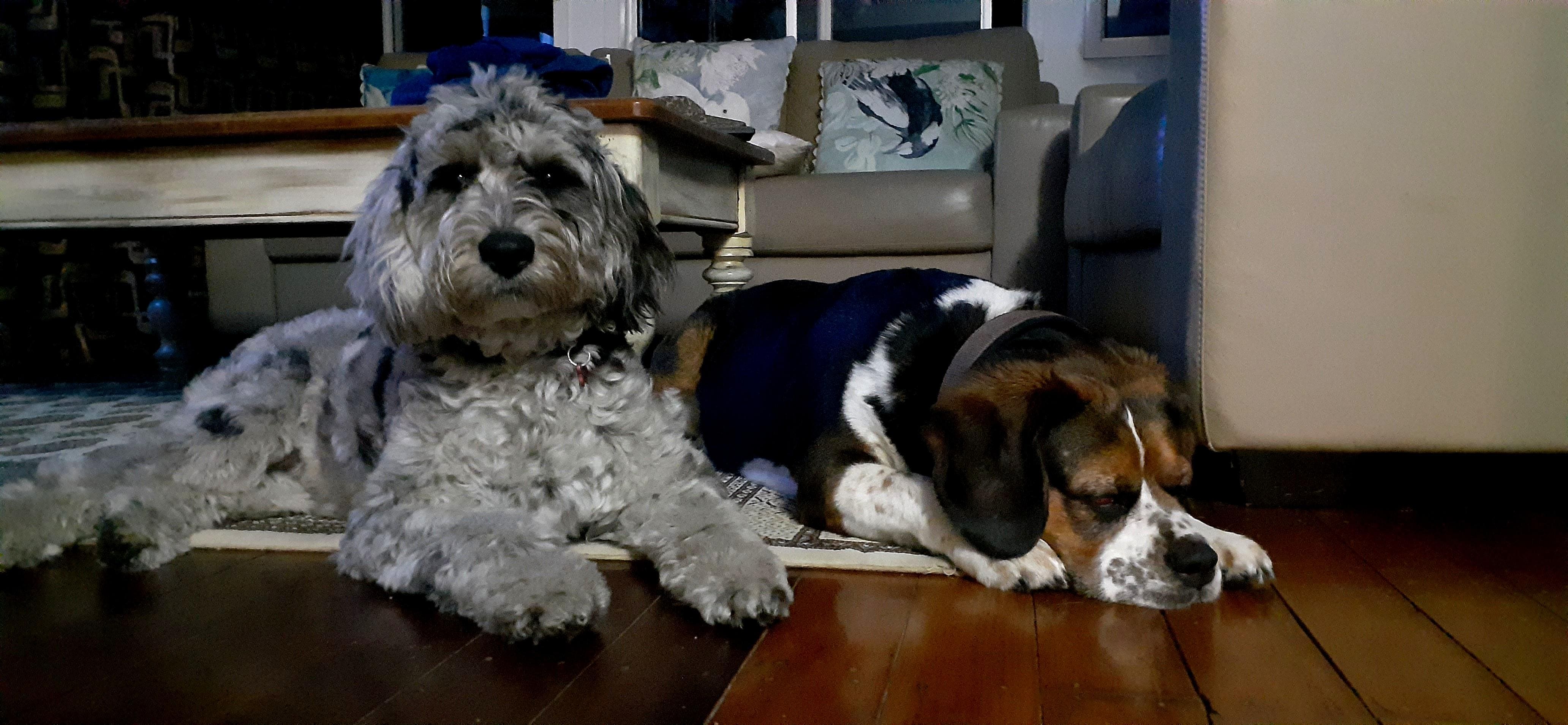 Safe and comfortable inside. 