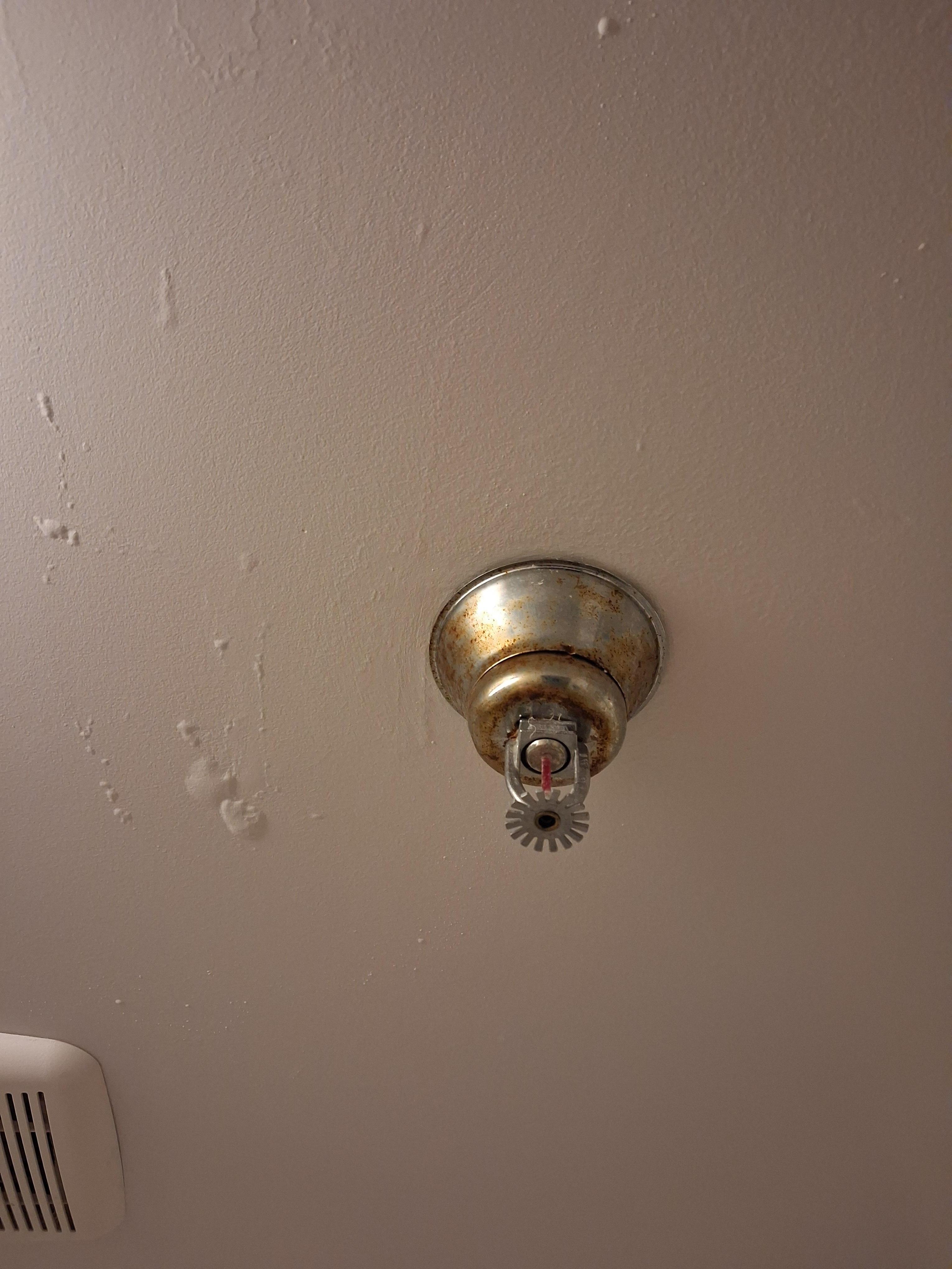 Water leak next to the sprinkler. The floor was constantly wet 