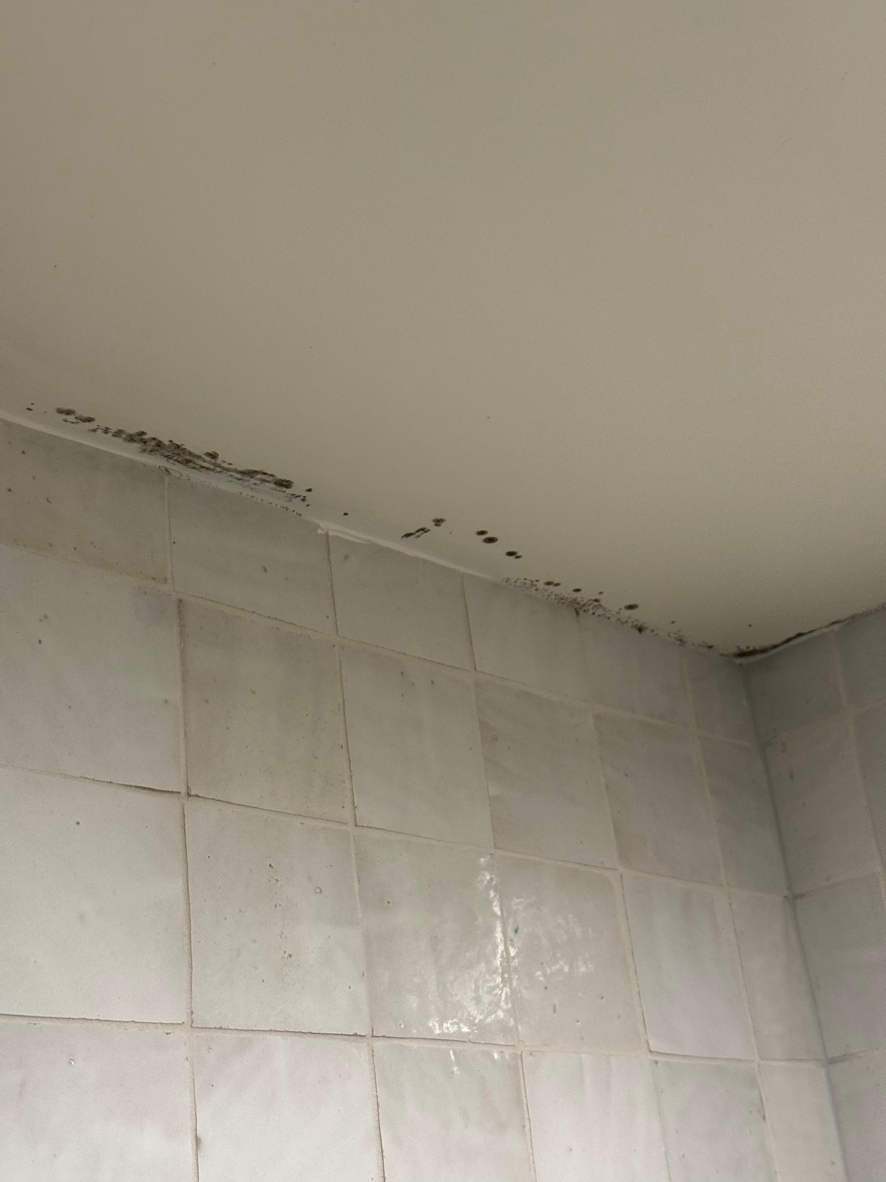 Mold in shower