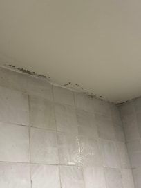Mold in shower