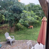 Wildlife! One of our evening visitors.