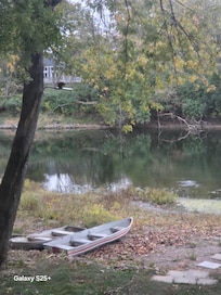 Ducks in the river and a squirrel on the light