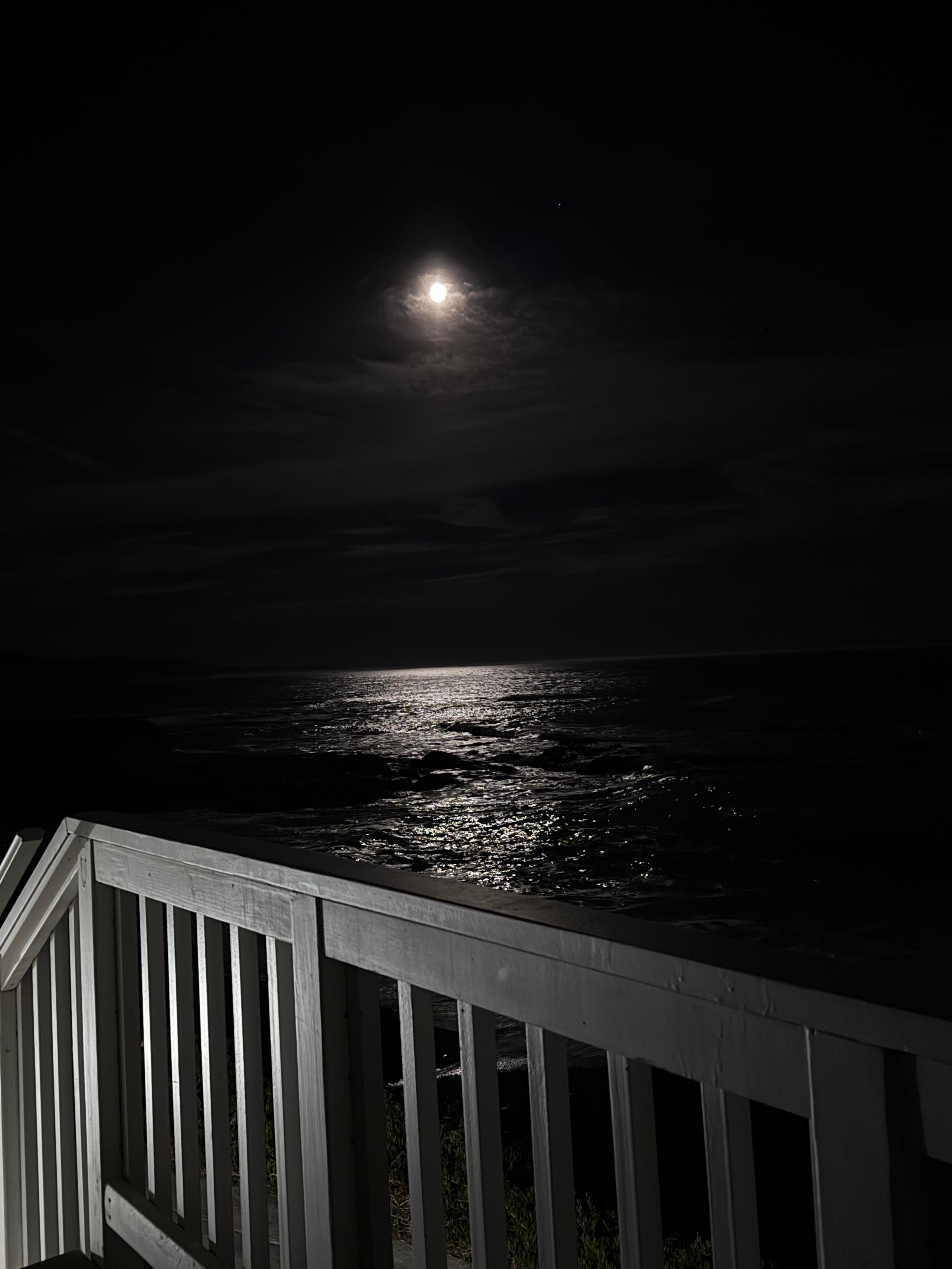 High moon b&w from the porch.