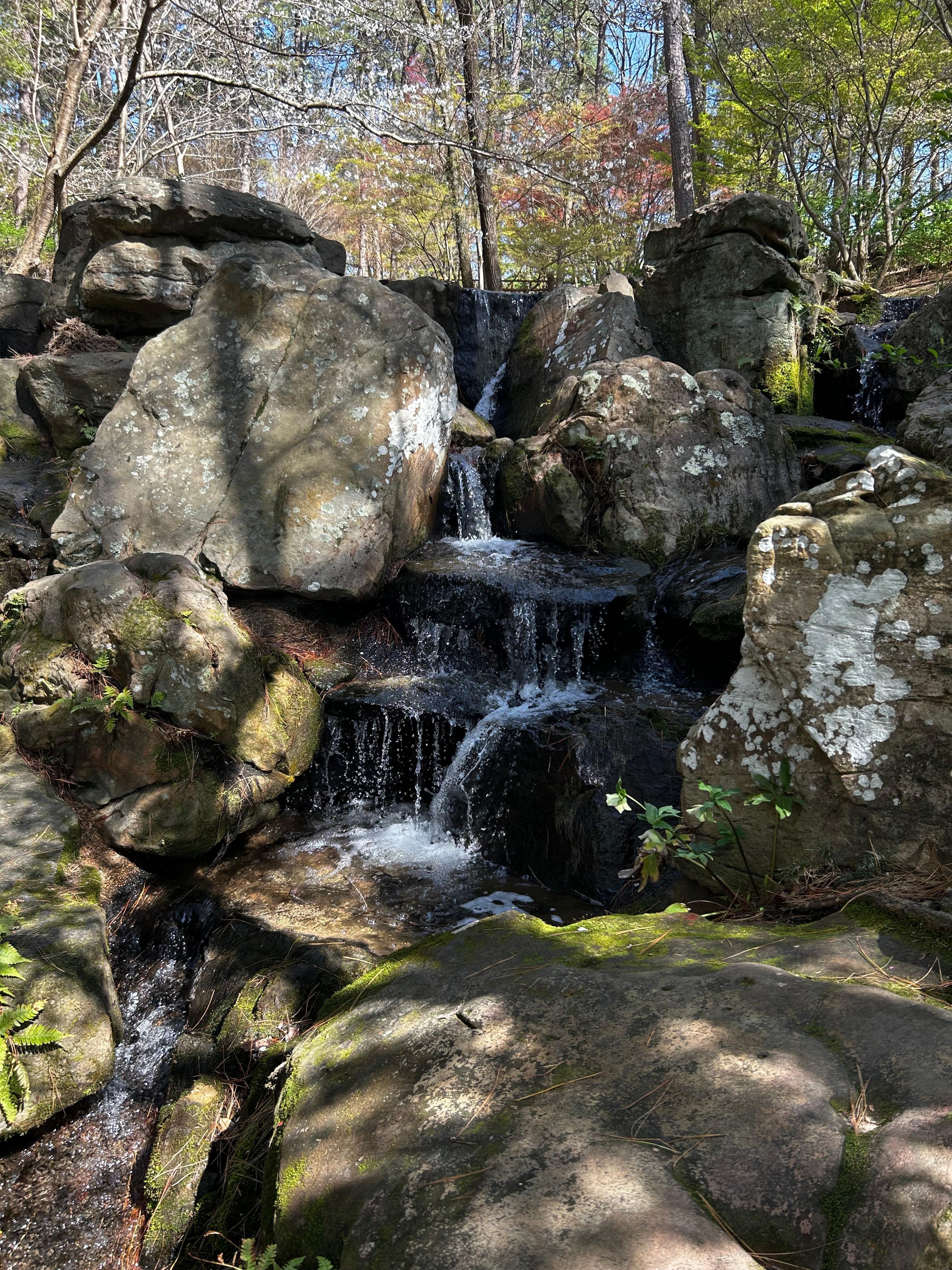 Garden Woodlands Gardens was very close to the rental. It was beautiful and peaceful. We just happened to be there at the right time for the tulips and some of the azaleas and the weather was great. 