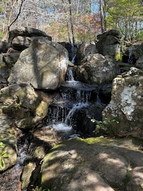 Garden Woodlands Gardens was very close to the rental. It was beautiful and peaceful. We just happened to be there at the right time for the tulips and some of the azaleas and the weather was great.