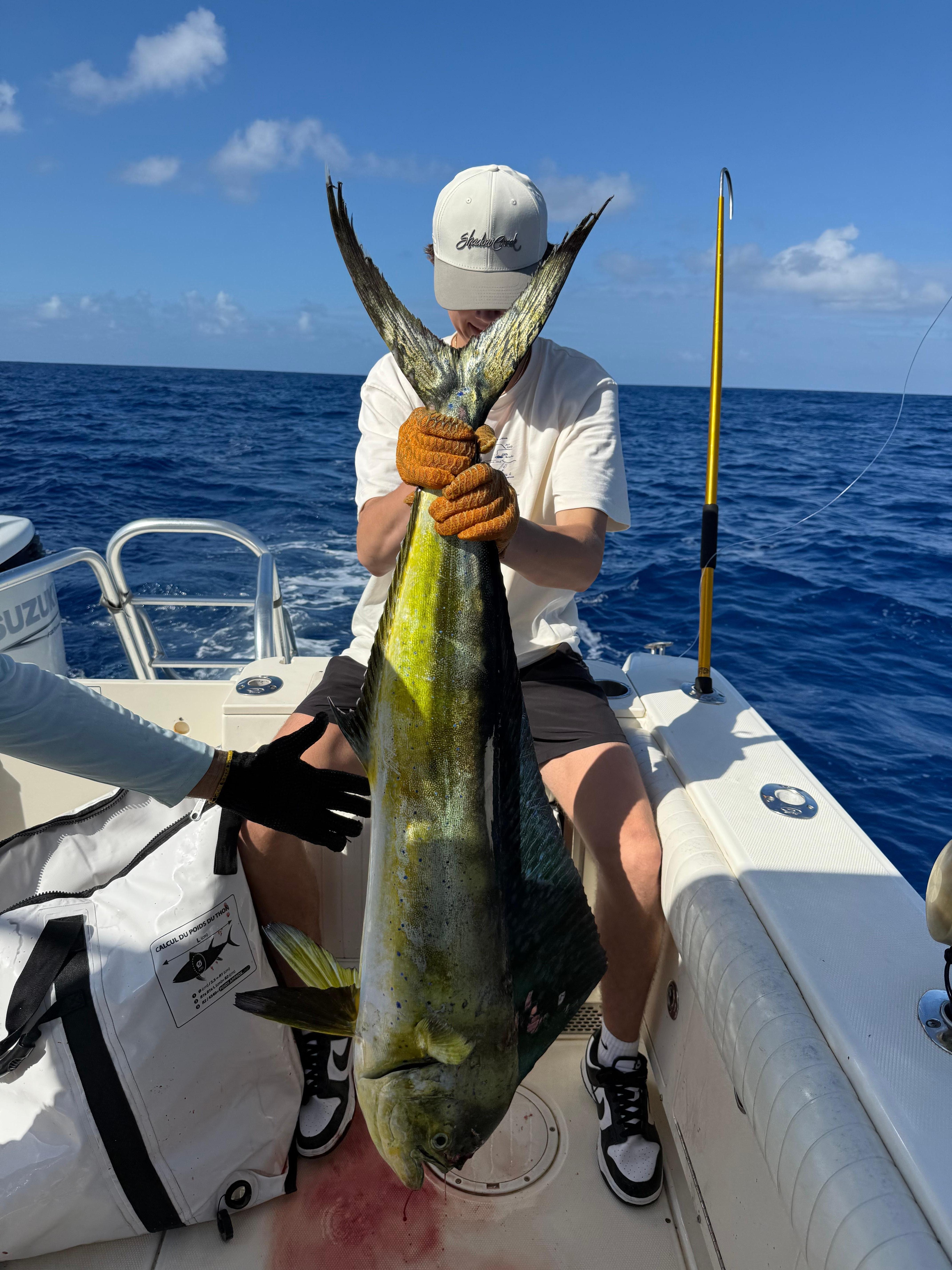 Our fish that disappeared. $1,600 to catch, $1,000 to prepare. Got maybe 2 8 oz filets from the chef, and some sashimi. Rest went ?
