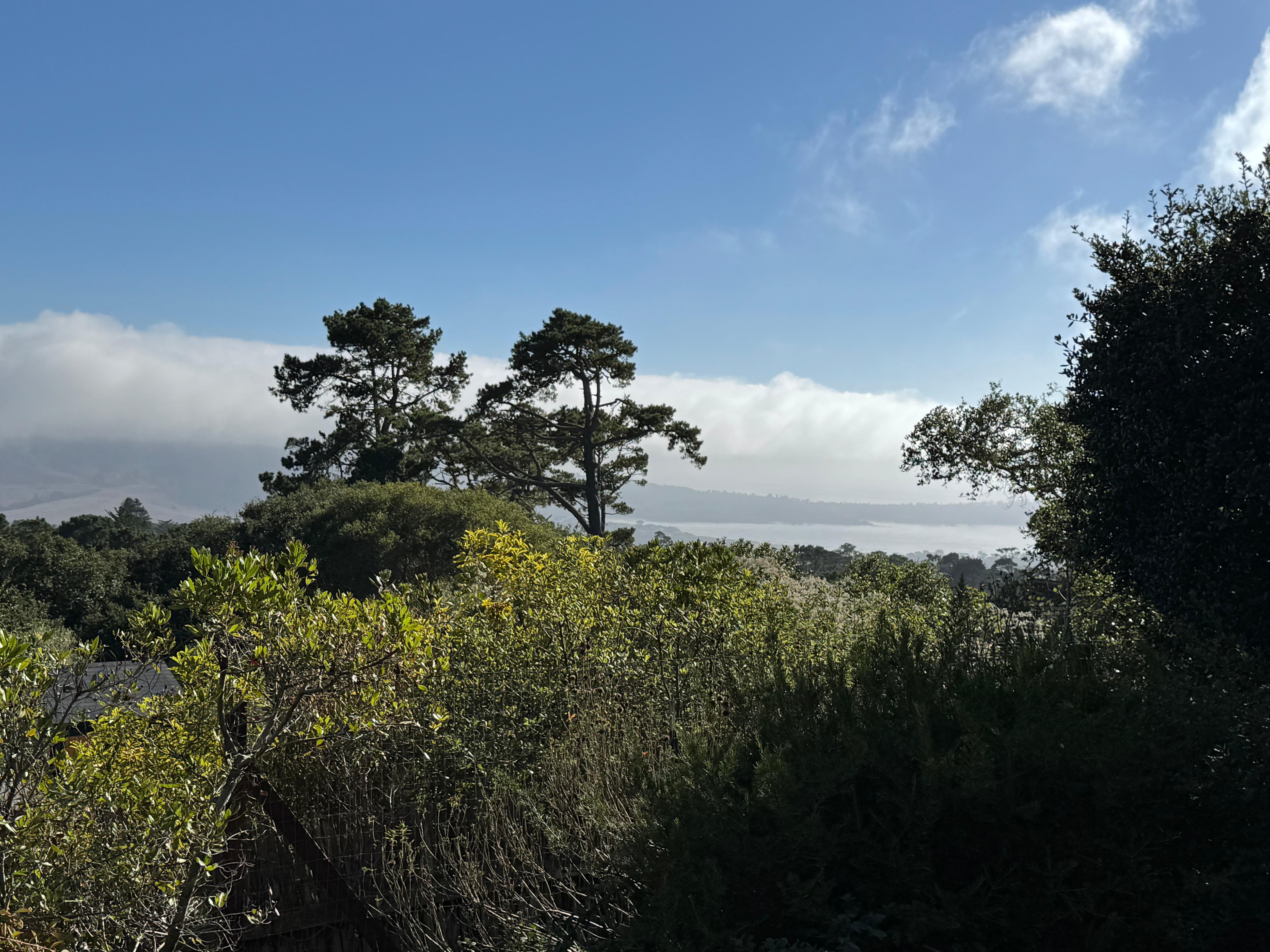 View of Carmel Beach from Deck 