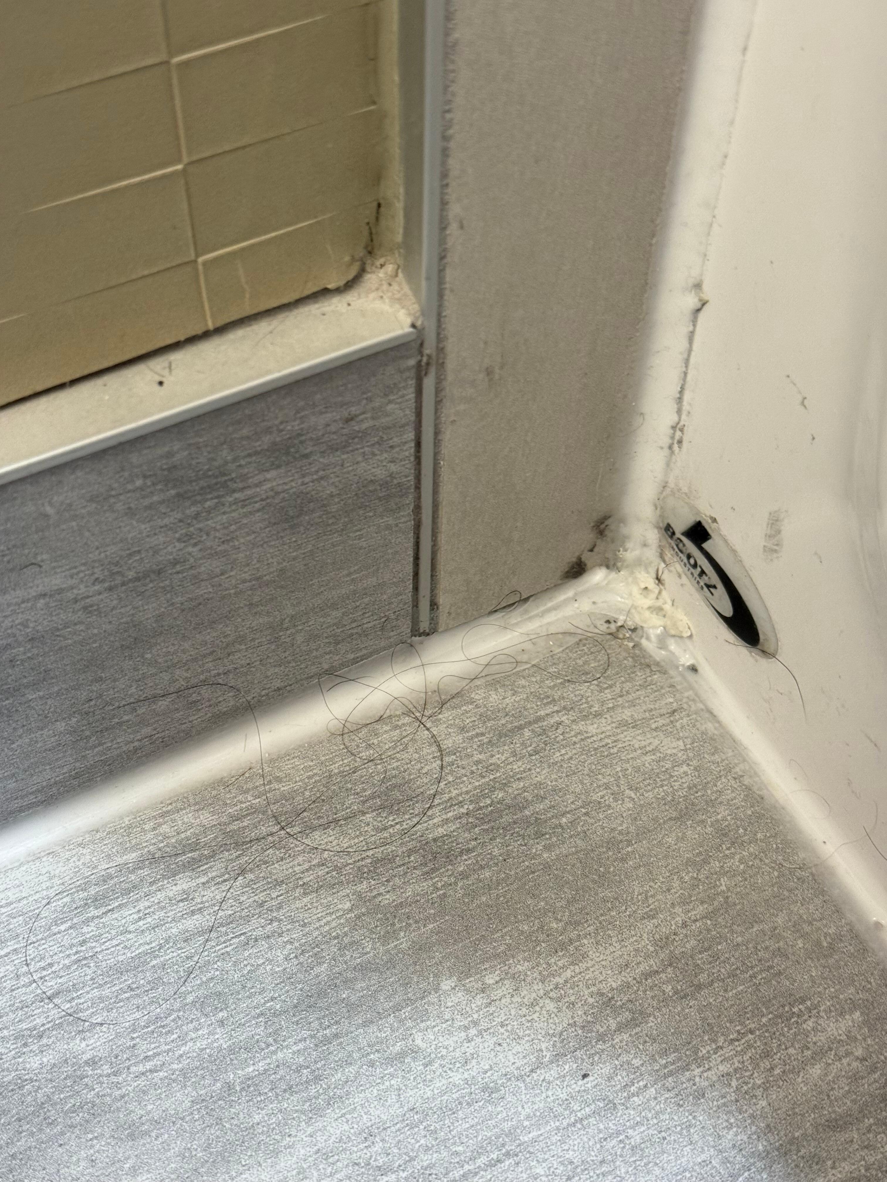 Not my hair but was found in different corners of our room
