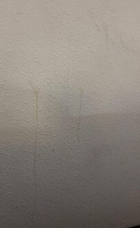 Stains on wall