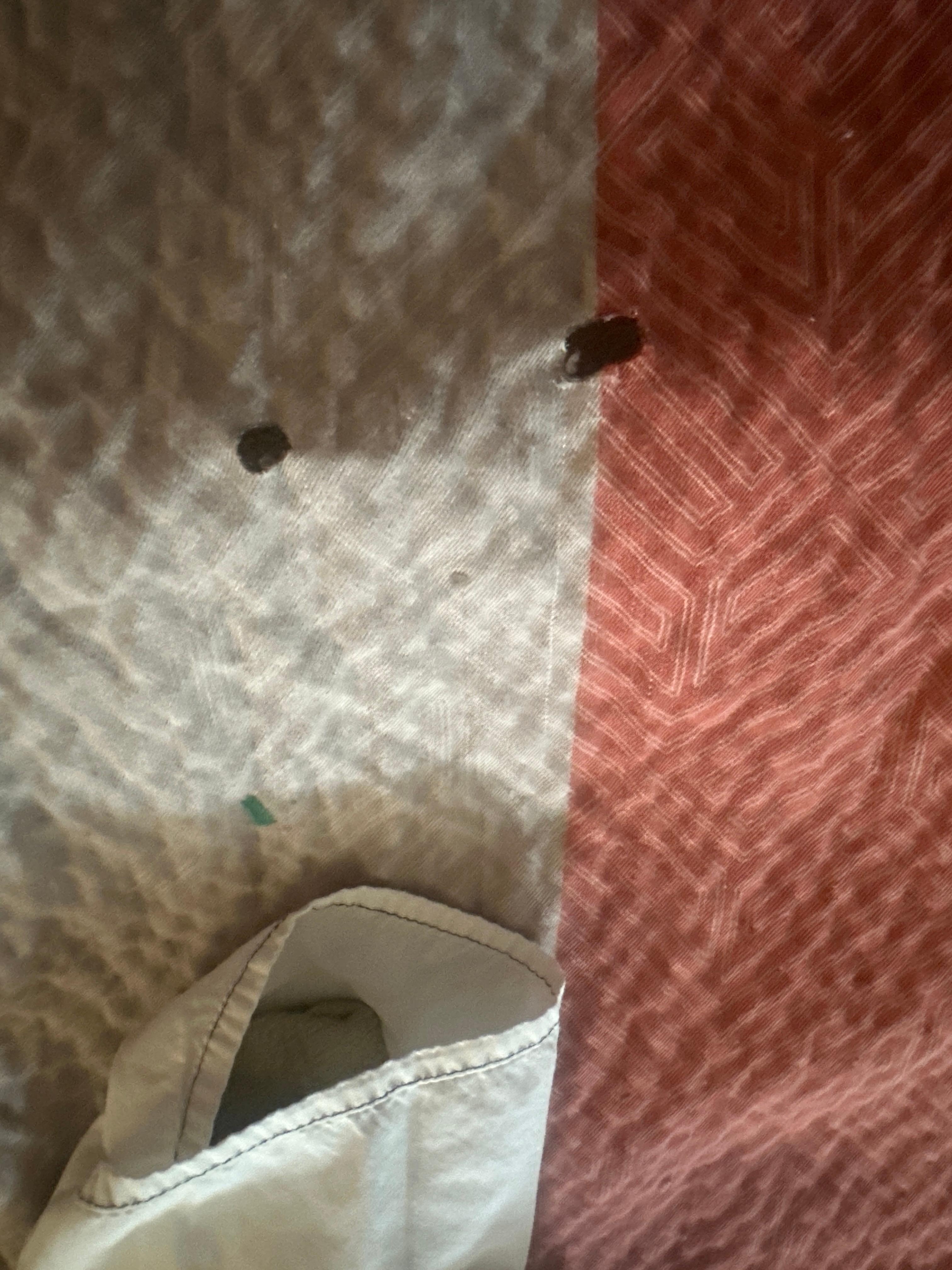 Cigarette or pipe burn marks all over the blankets. I’m sure they’re going to try and charge me for this.