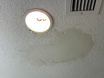 Bathroom ceiling leakage and air filter does not work