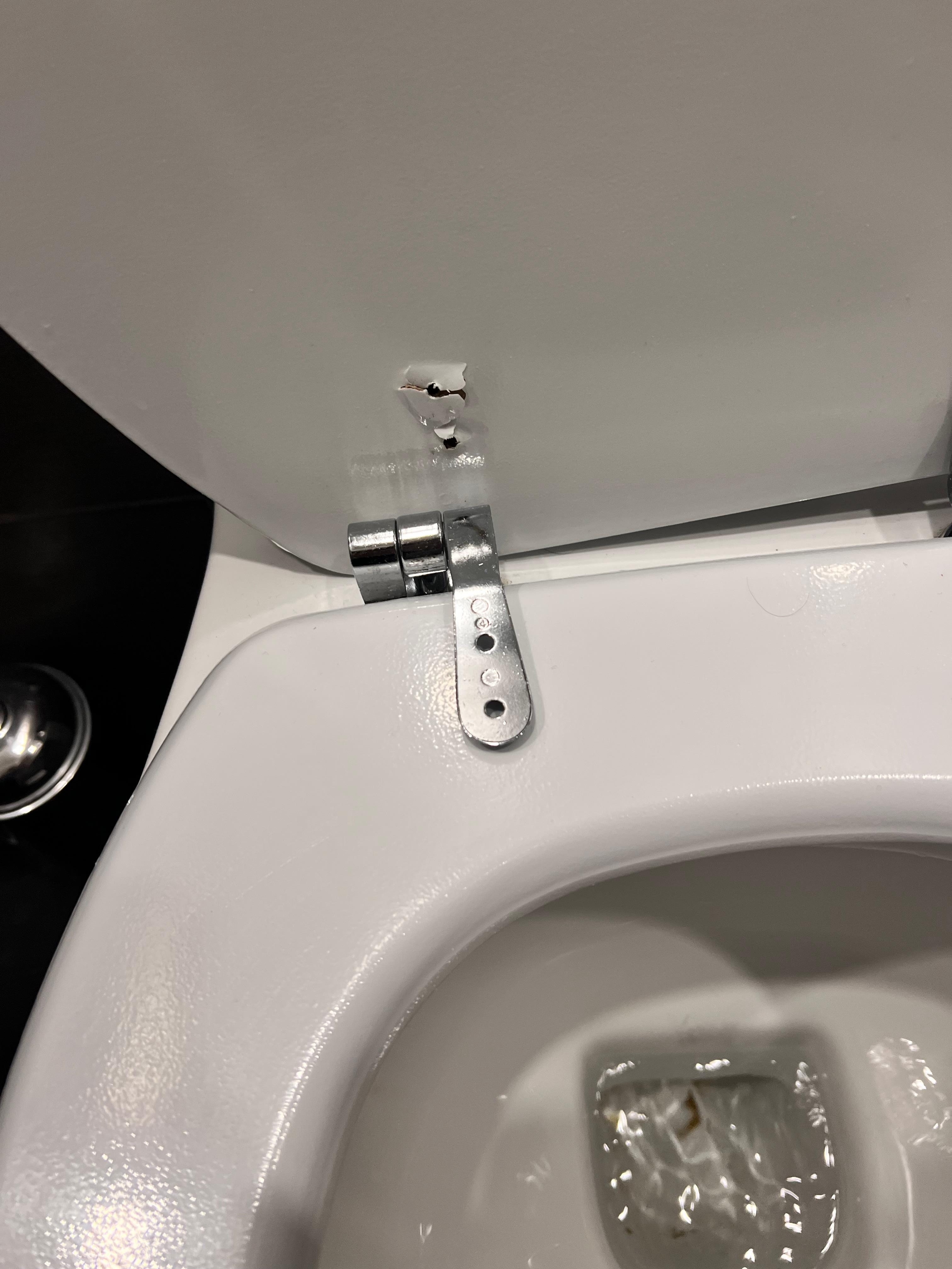 Broken toilet seat