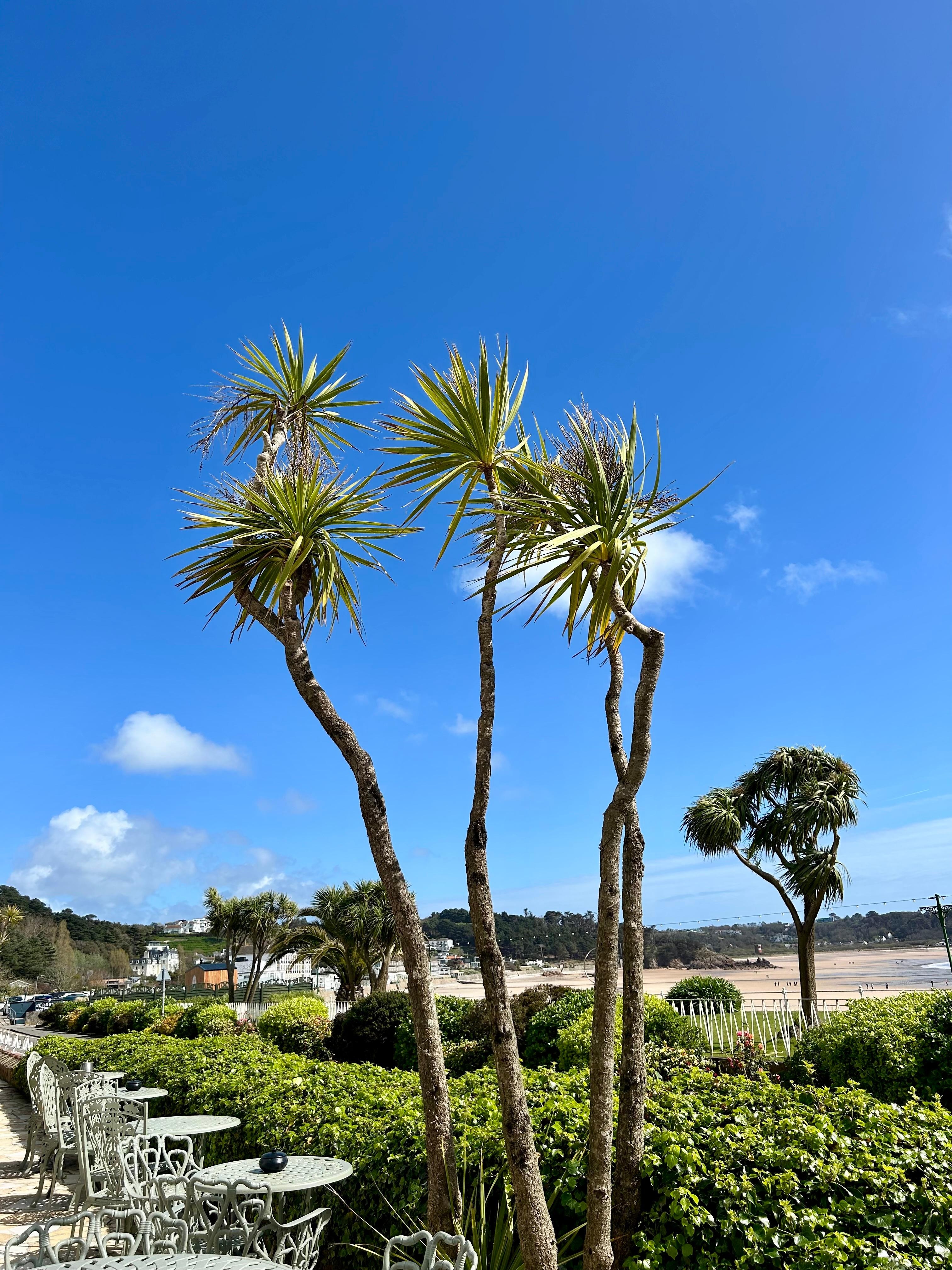 On the terrace at the front of the hotel.
