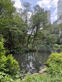 Not too far from Central Park.