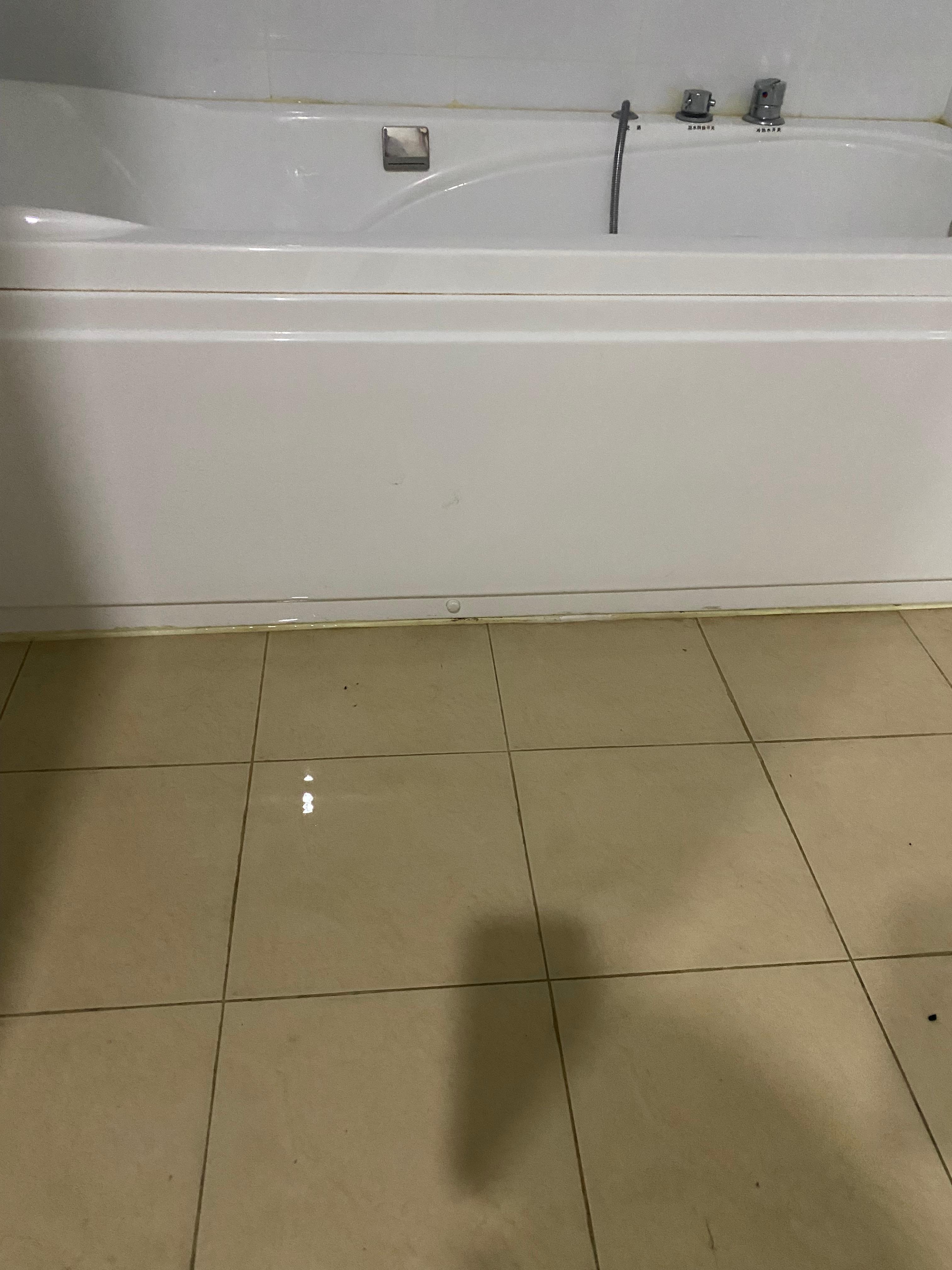 Urine on side of bath, we washed down the best we could but the contaminated water stayed on the floor all night. We tried our best not to walk in it