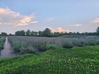 Amazing property!
