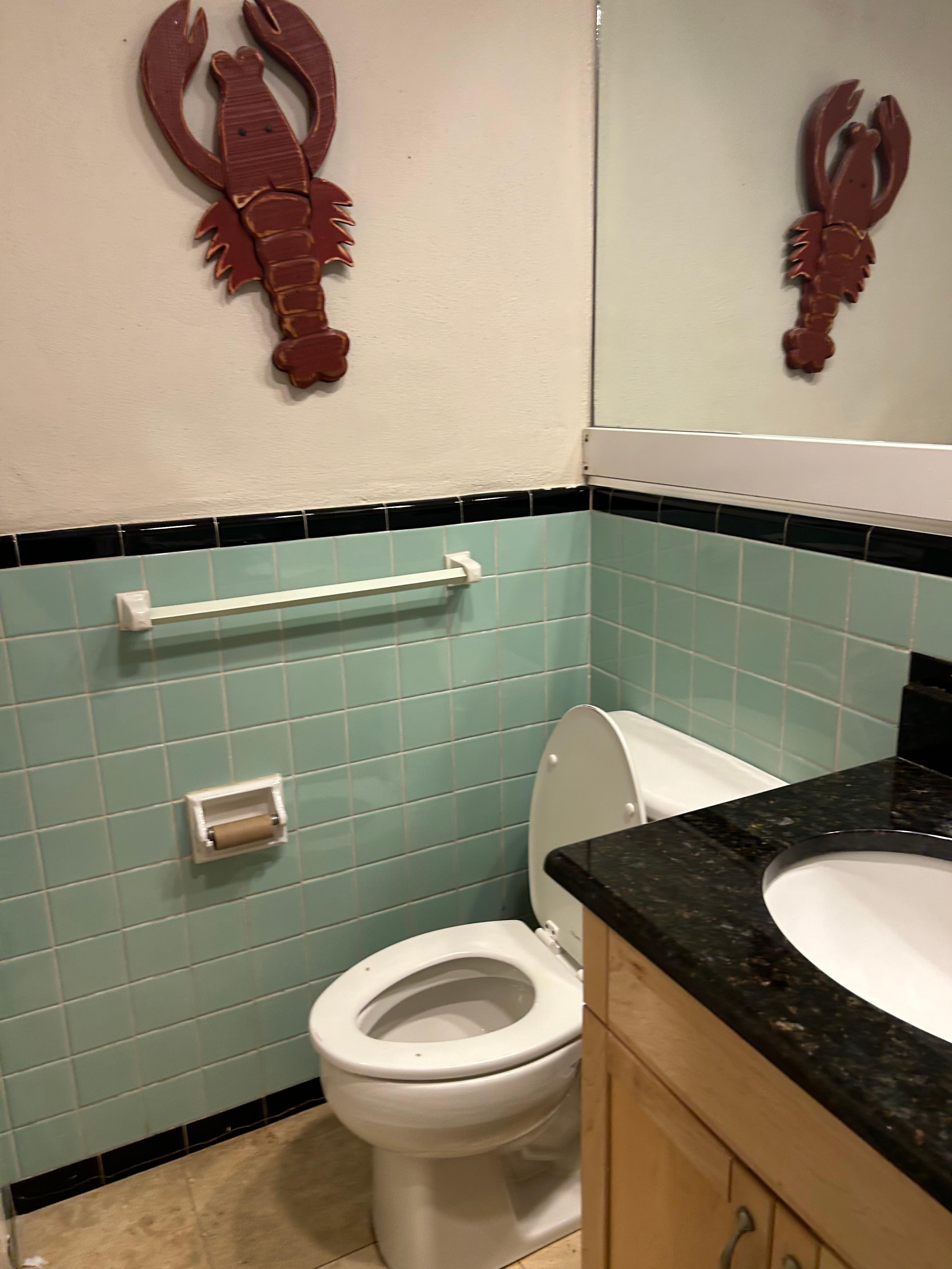 Don’t mind the vintage tile,, but if you are going to change out toilets ,,, change the seat as well. Crazy to put a round seat on an oblong toilet. Shower curtains falling down and no drain in main bathroom sink