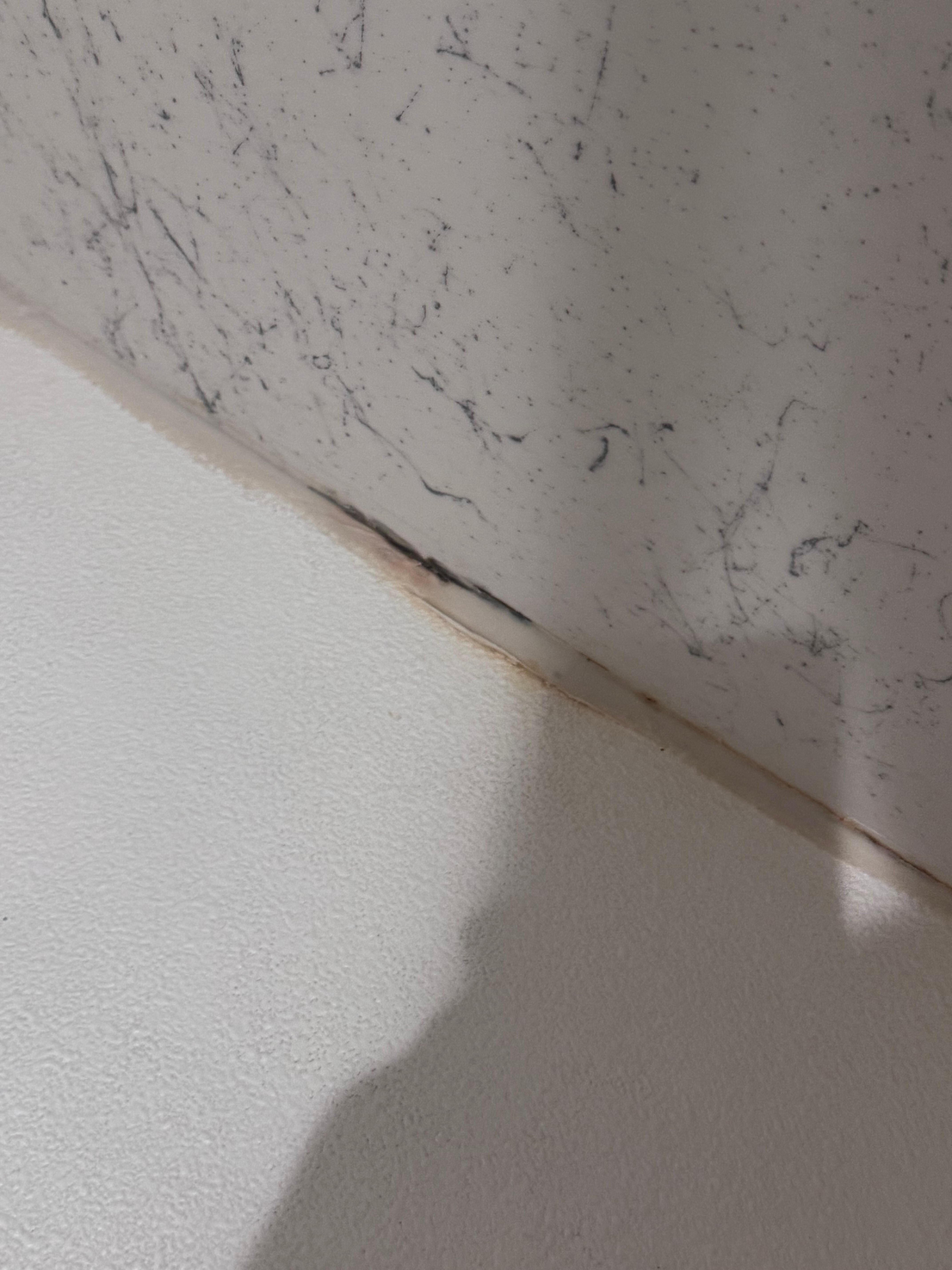 Mold in shower