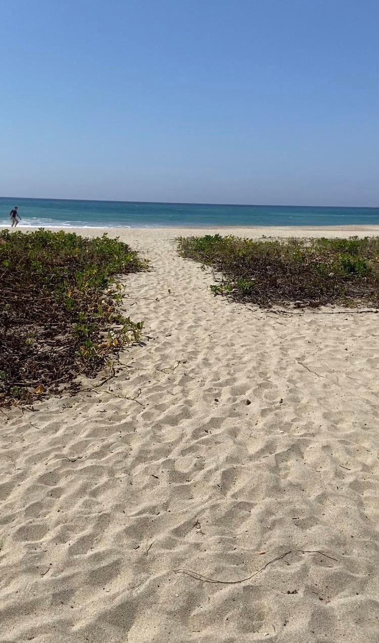 Hotel oceanfront view.