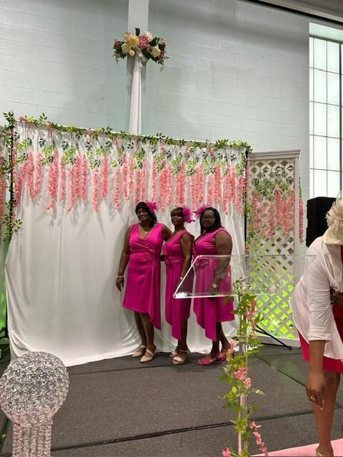 Got Her Covered Paint It Pink High Tea. Cleveland TN