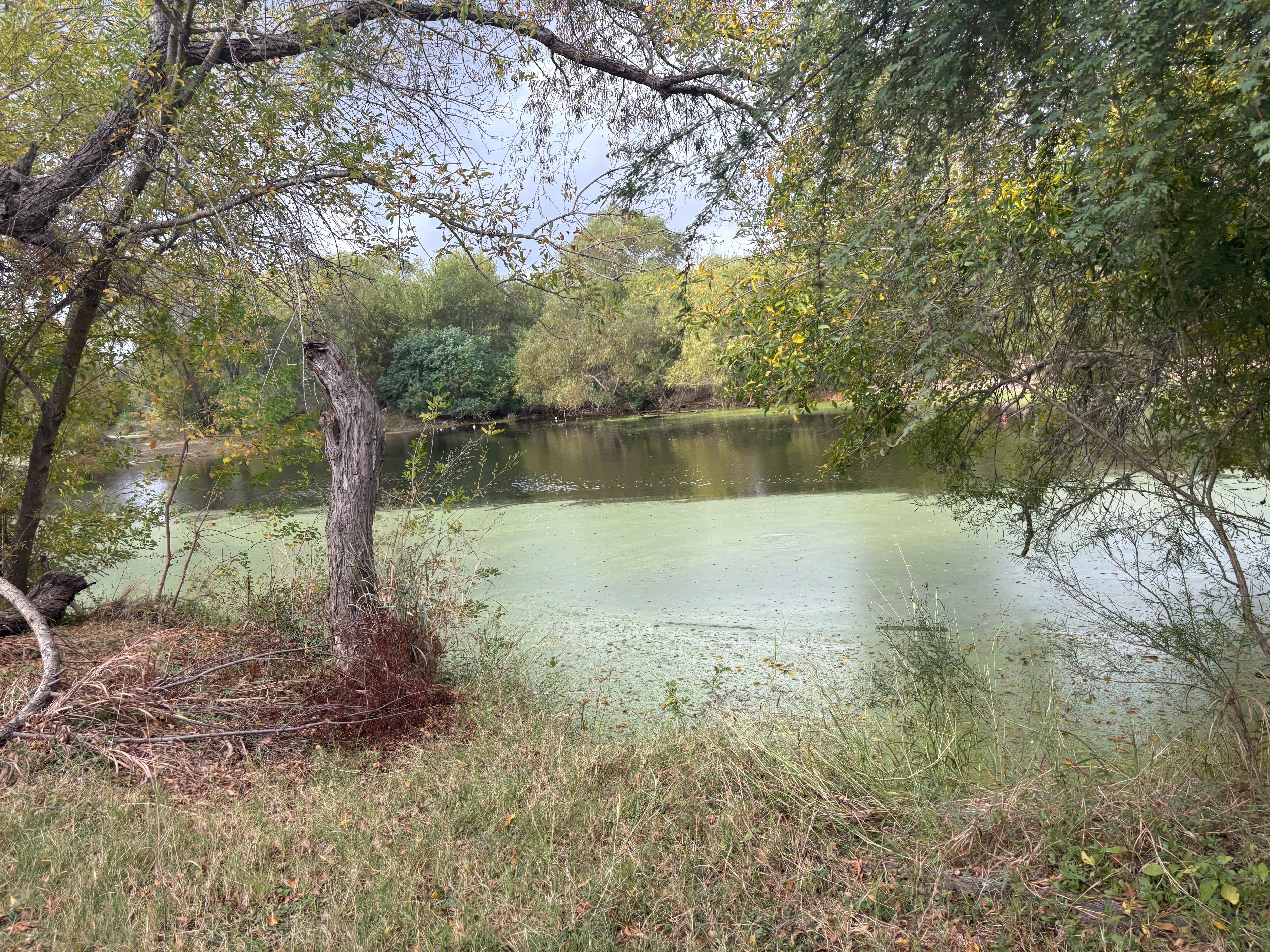 Picture in the Greenway Park