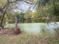 Picture in the Greenway Park