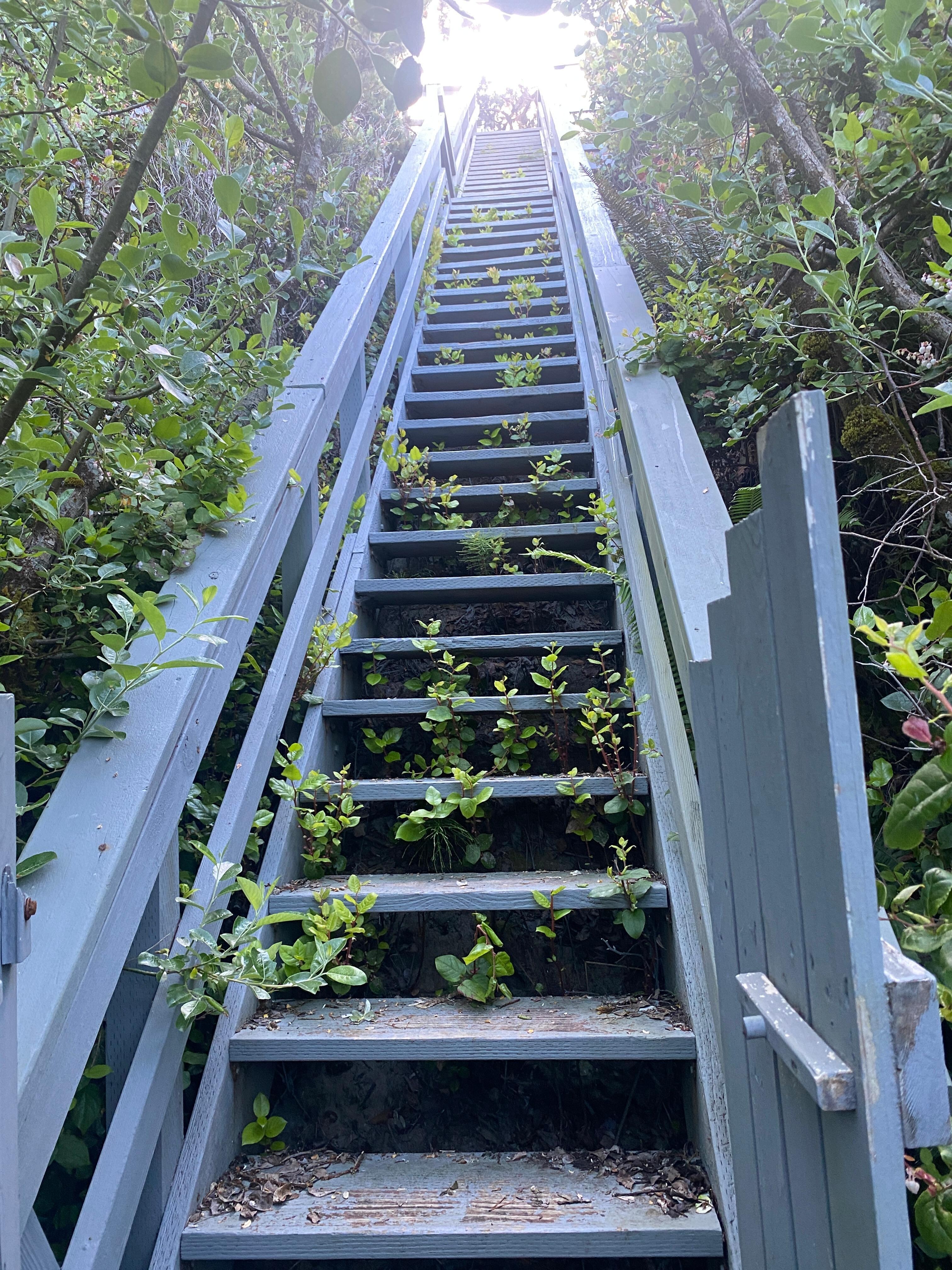 Heading back up