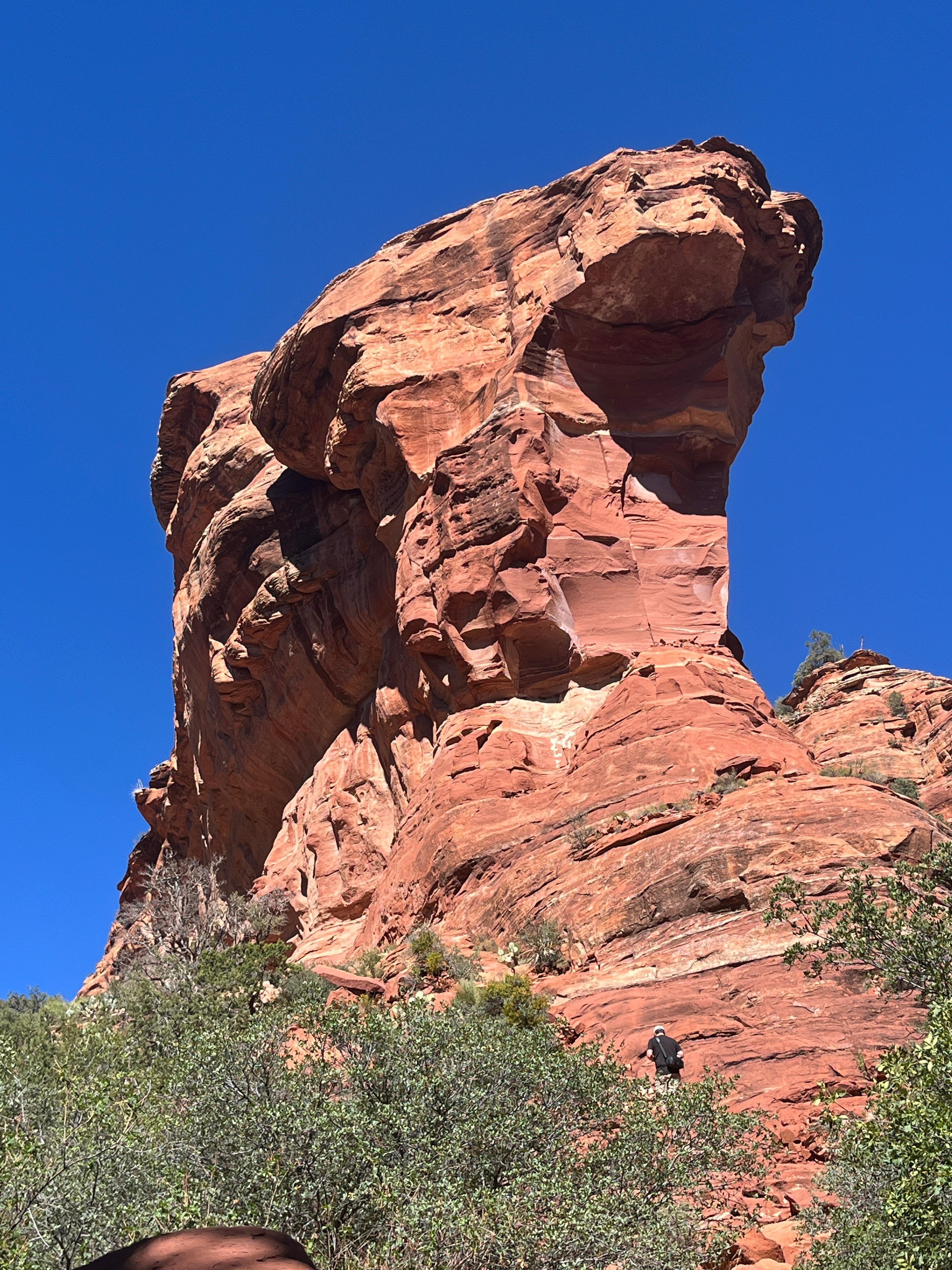 End of the trail in Fay Canyon