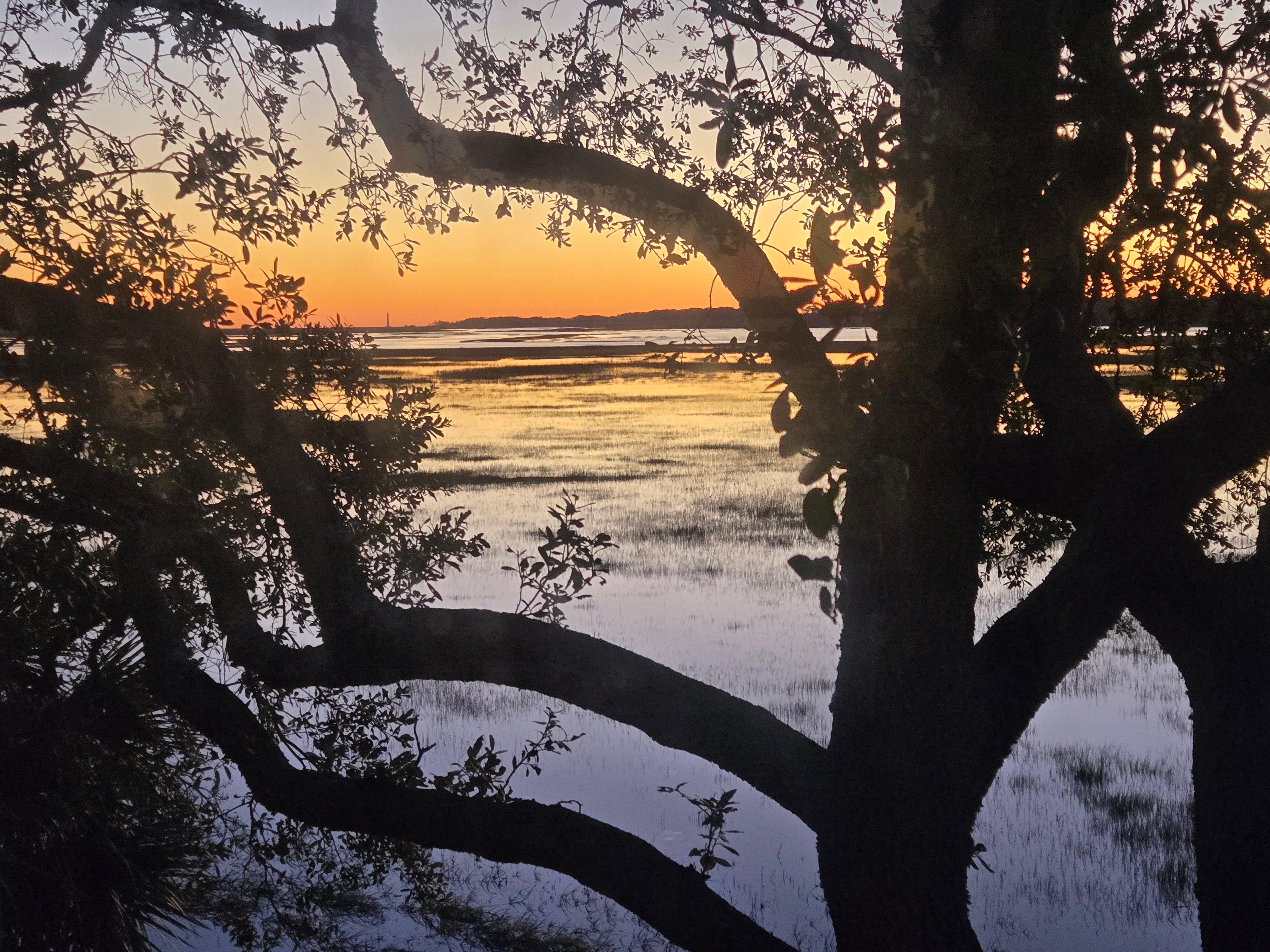 A Beautiful view from the Main Bedroom!!