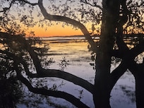 A Beautiful view from the Main Bedroom!!