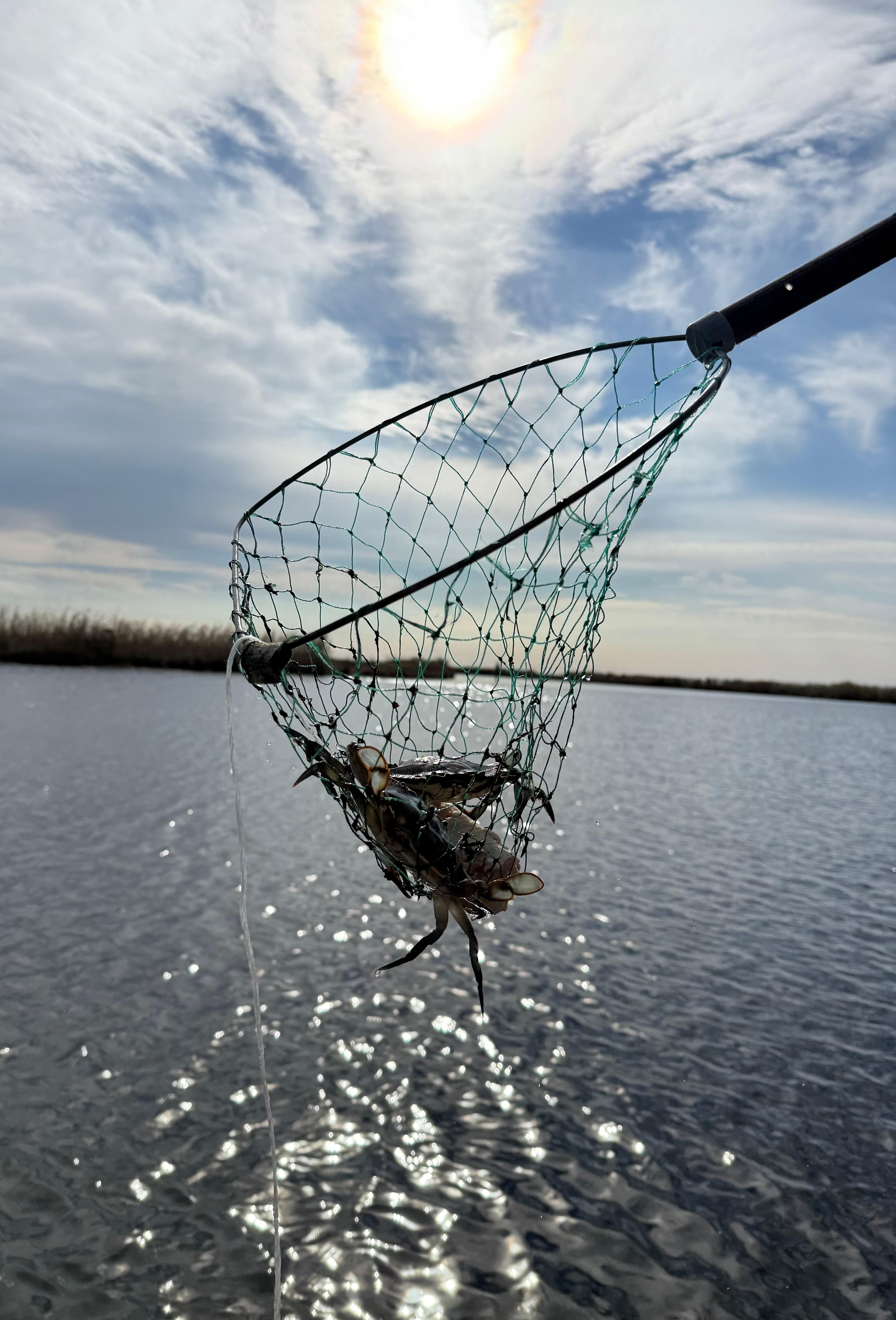 So much fun crabbing!