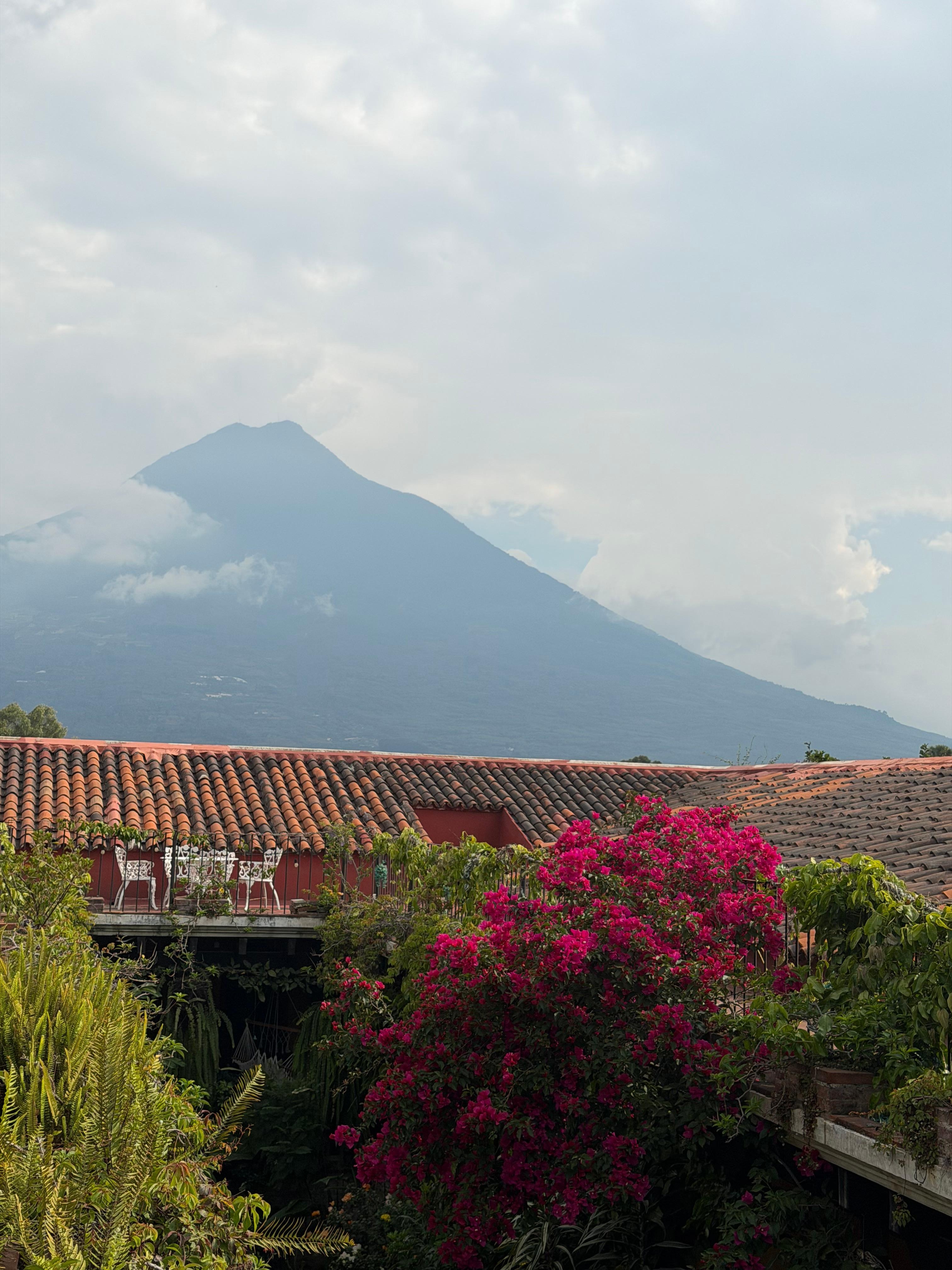 View from their terrace. 