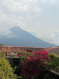 View from their terrace.