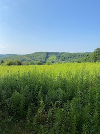 View from topmost corner of the field
