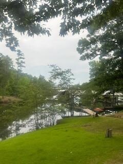 morning lake view